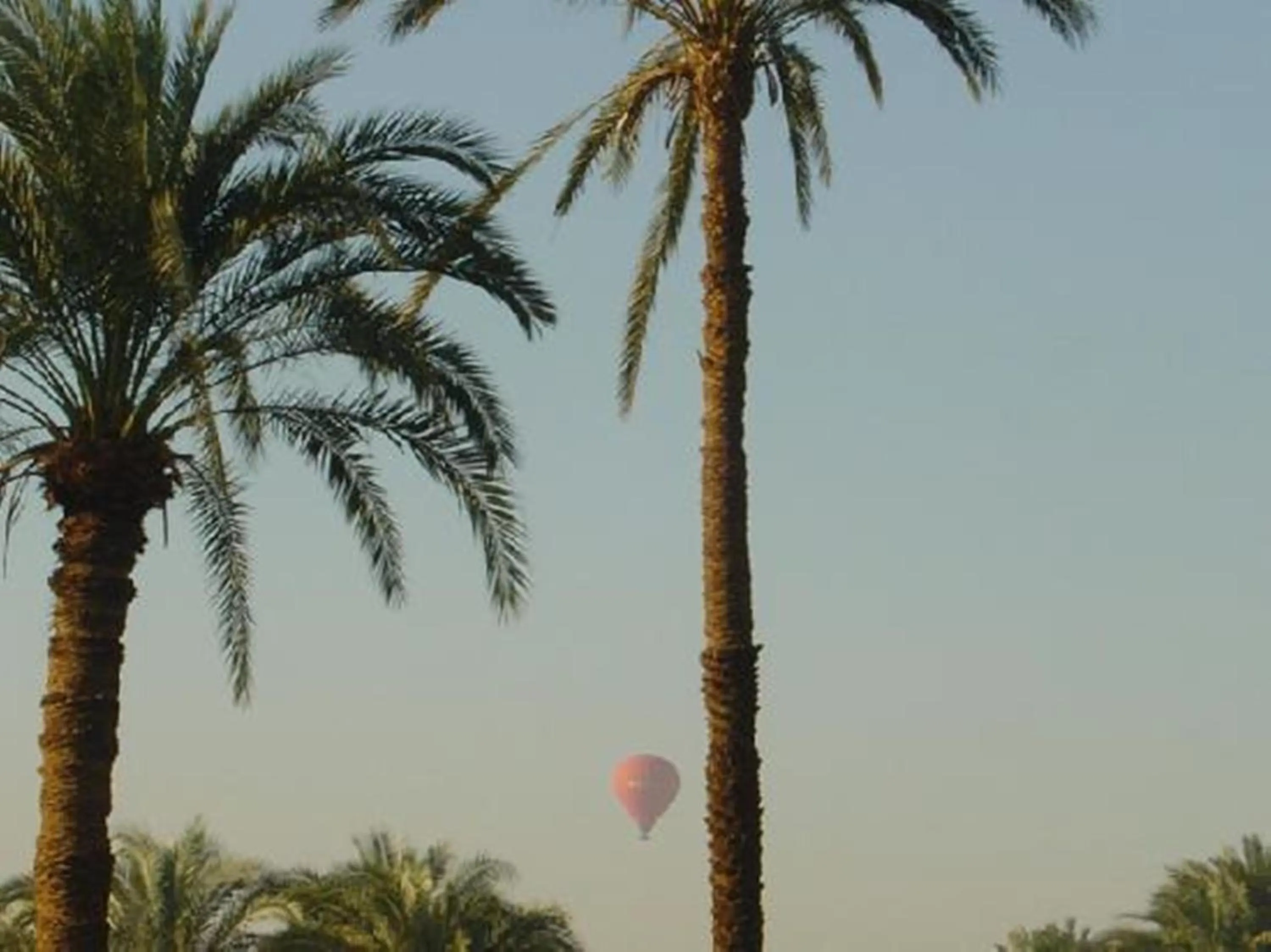 Natural landscape in El Nakhil Hotel