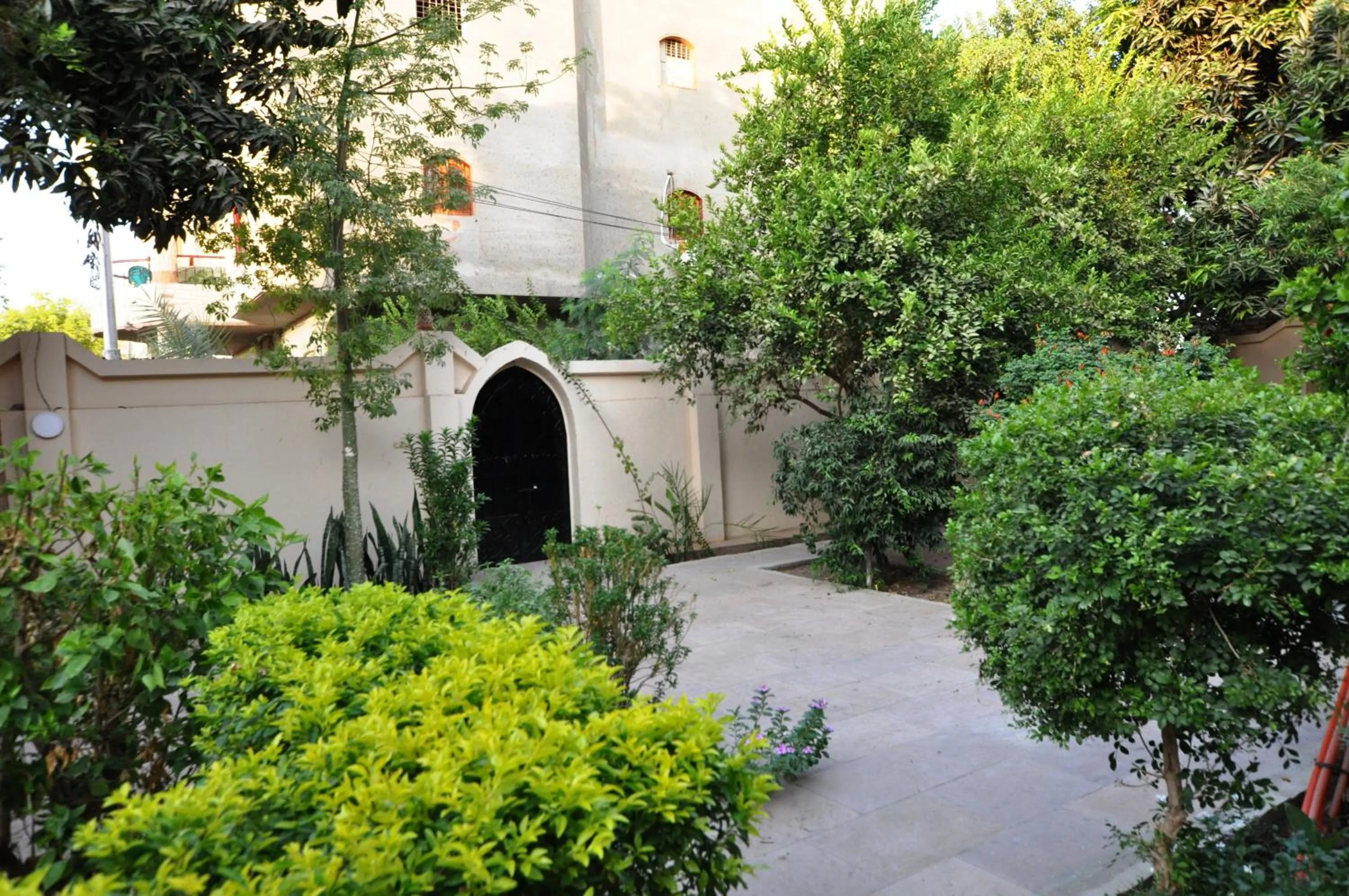 Garden in El Nakhil Hotel