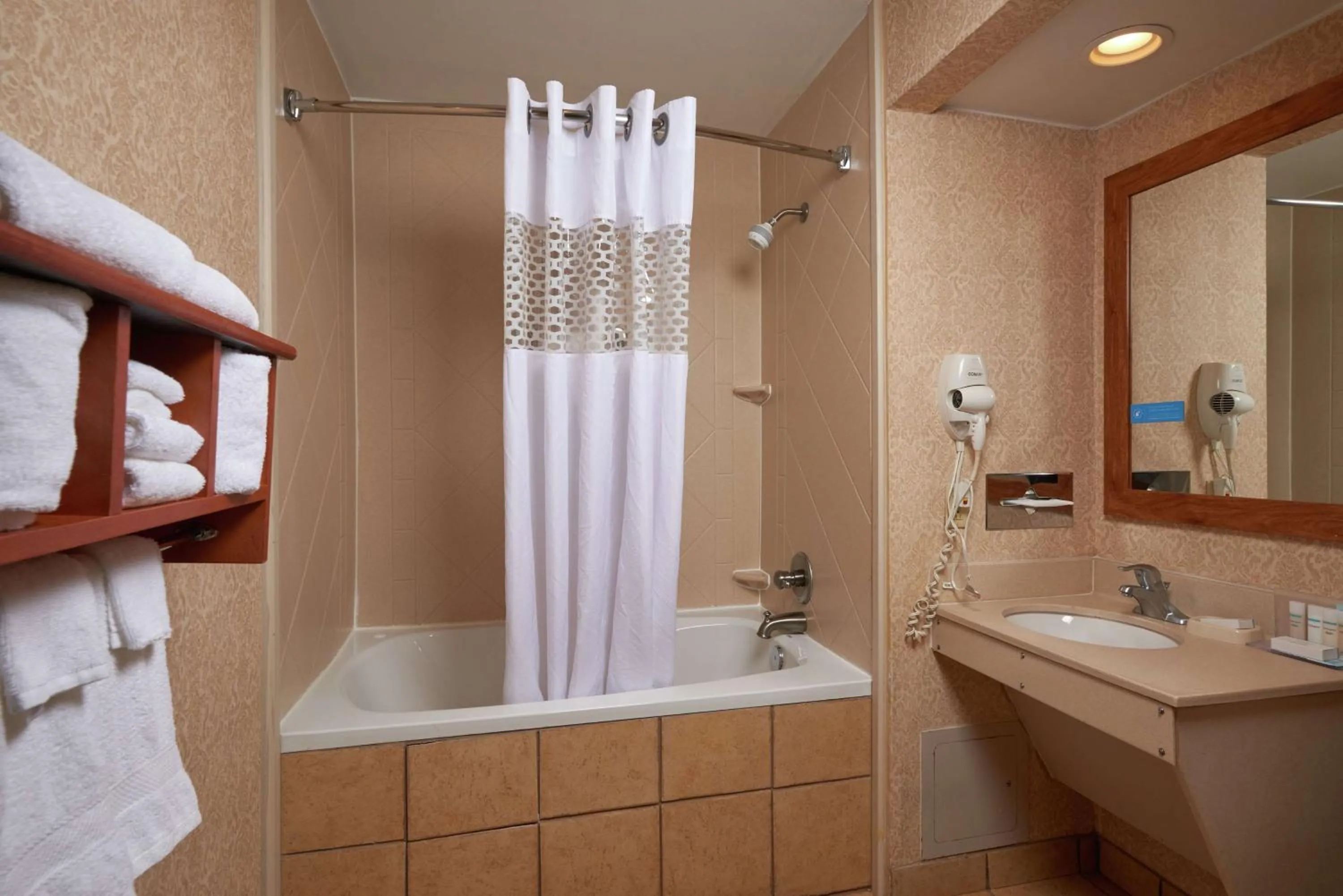 Bathroom in Hampton Inn Franklin, KY - Portland, TN