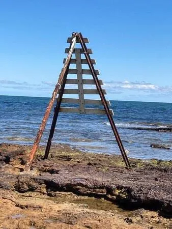 Snorkeling in Quest Cheltenham