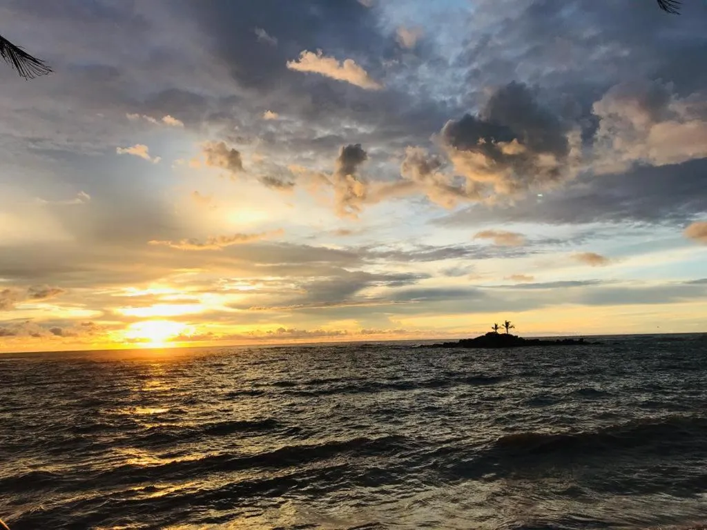 Natural landscape in Guesthouse Panorama