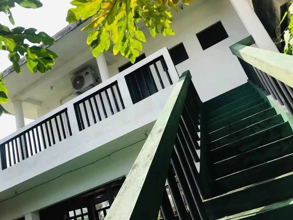 Balcony/Terrace in Guesthouse Panorama
