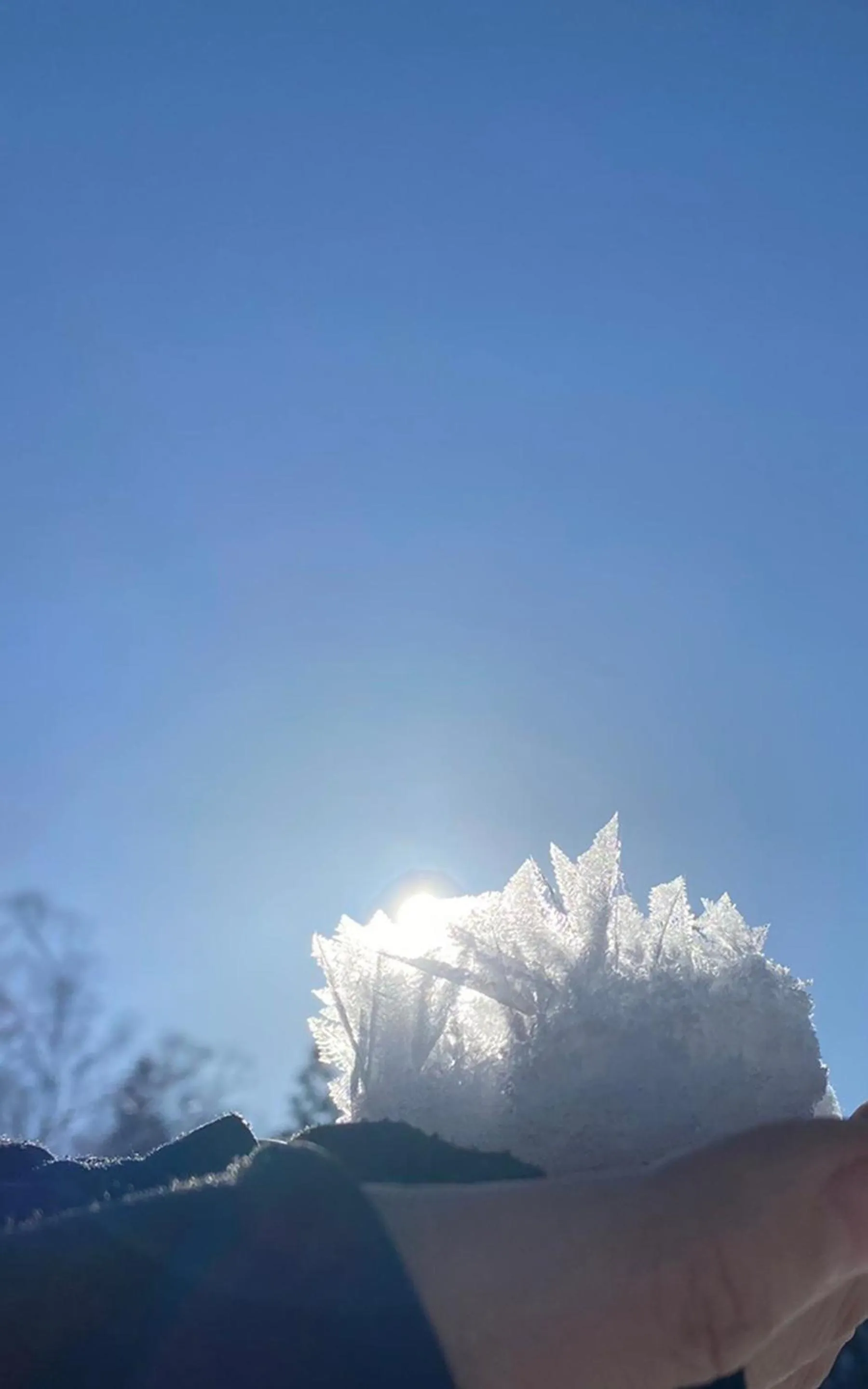 Winter in Residence Yasushi