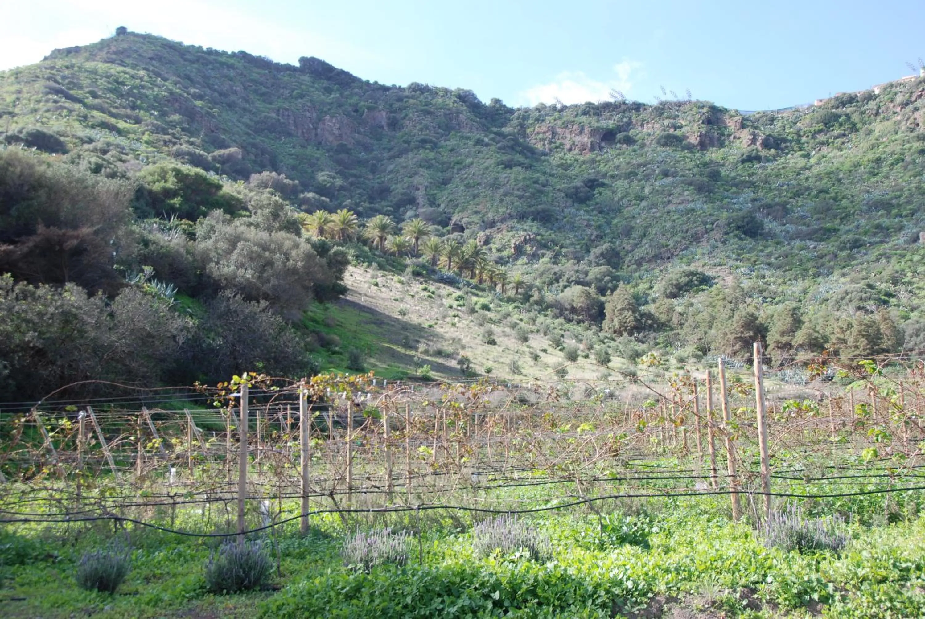 Facade/entrance in Hotel Rural El Mondalón