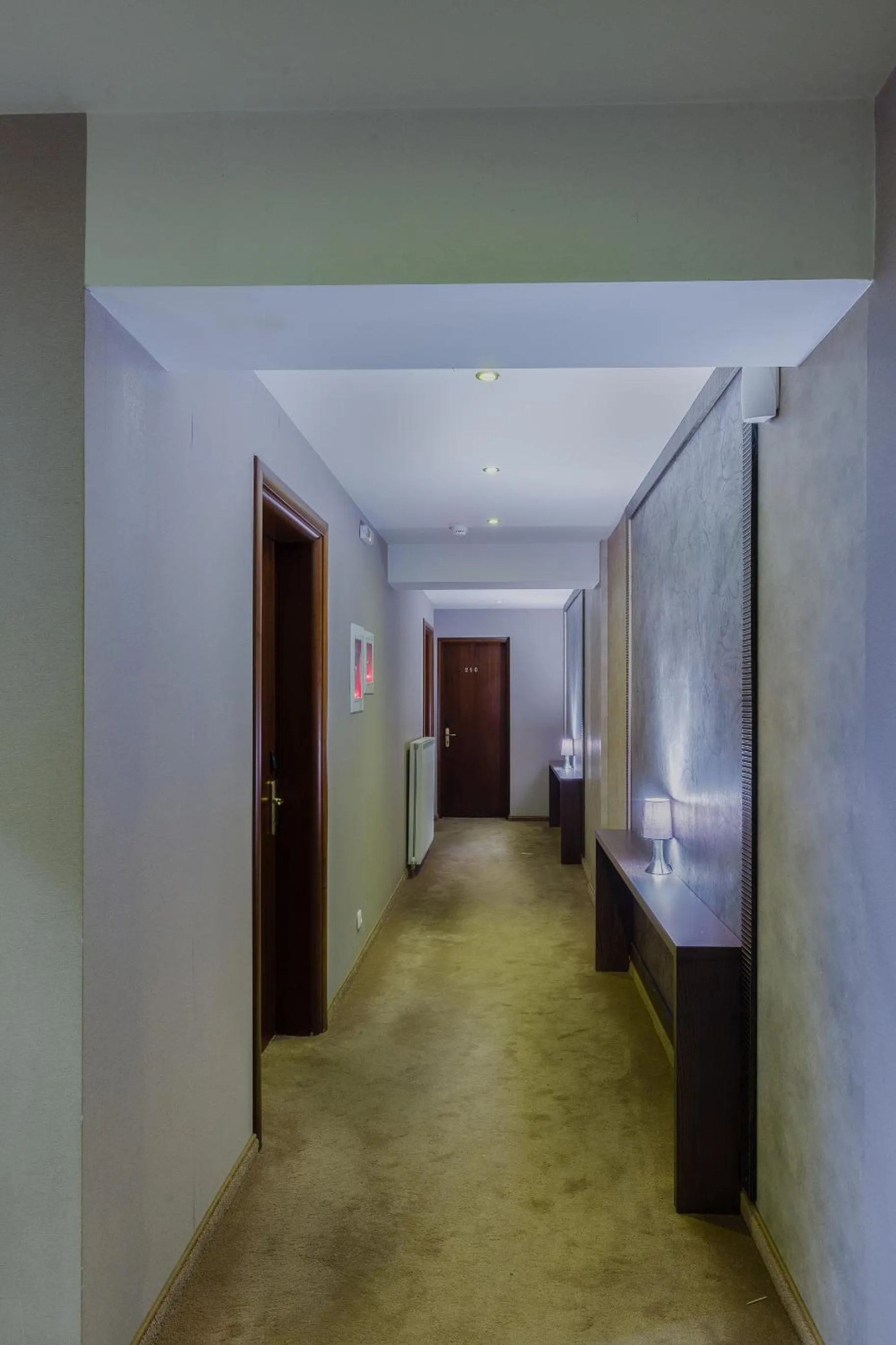 Area and facilities, Bed in Nevros Hotel Resort and Spa Limni Plastira