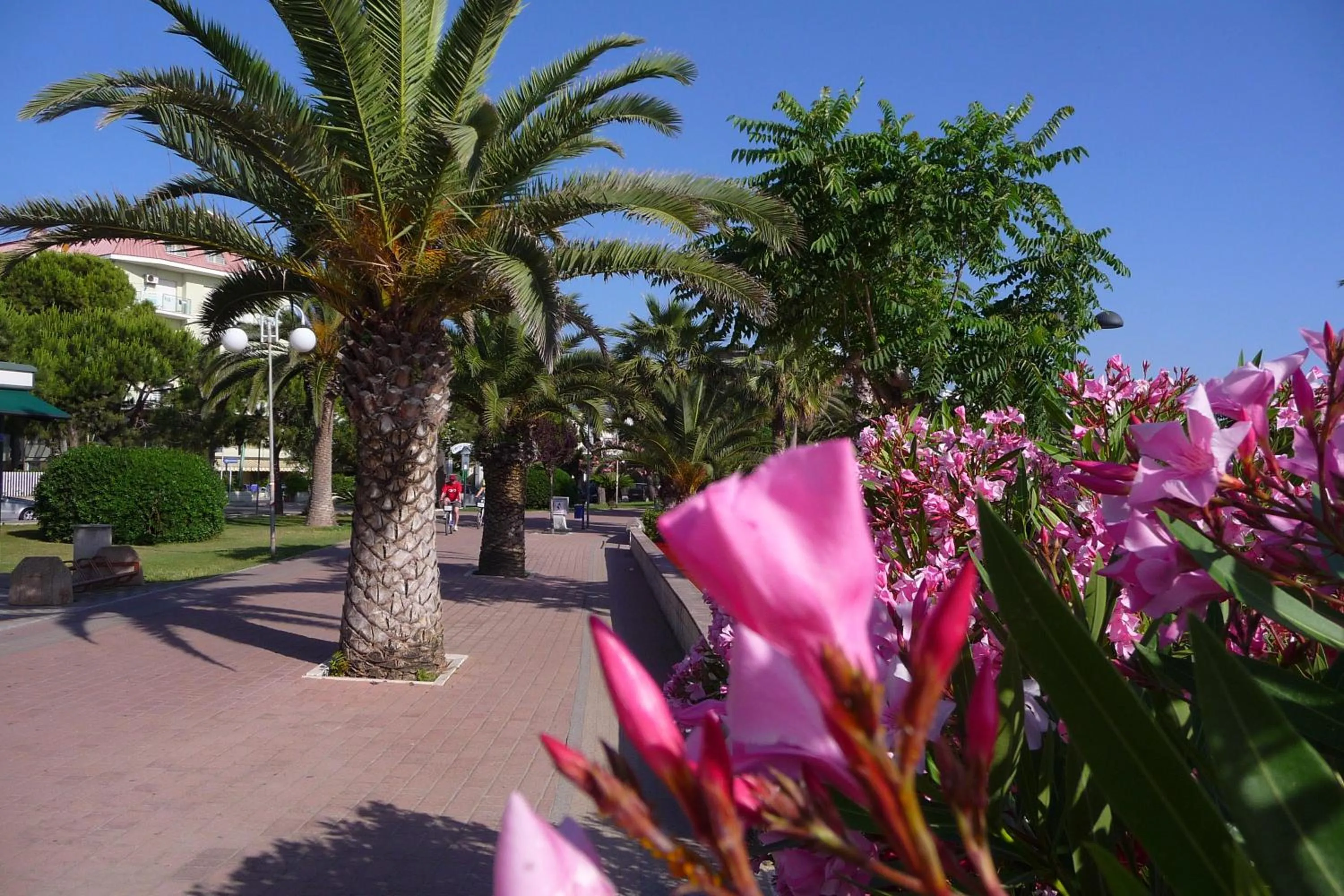 Sea view in Residence Helene