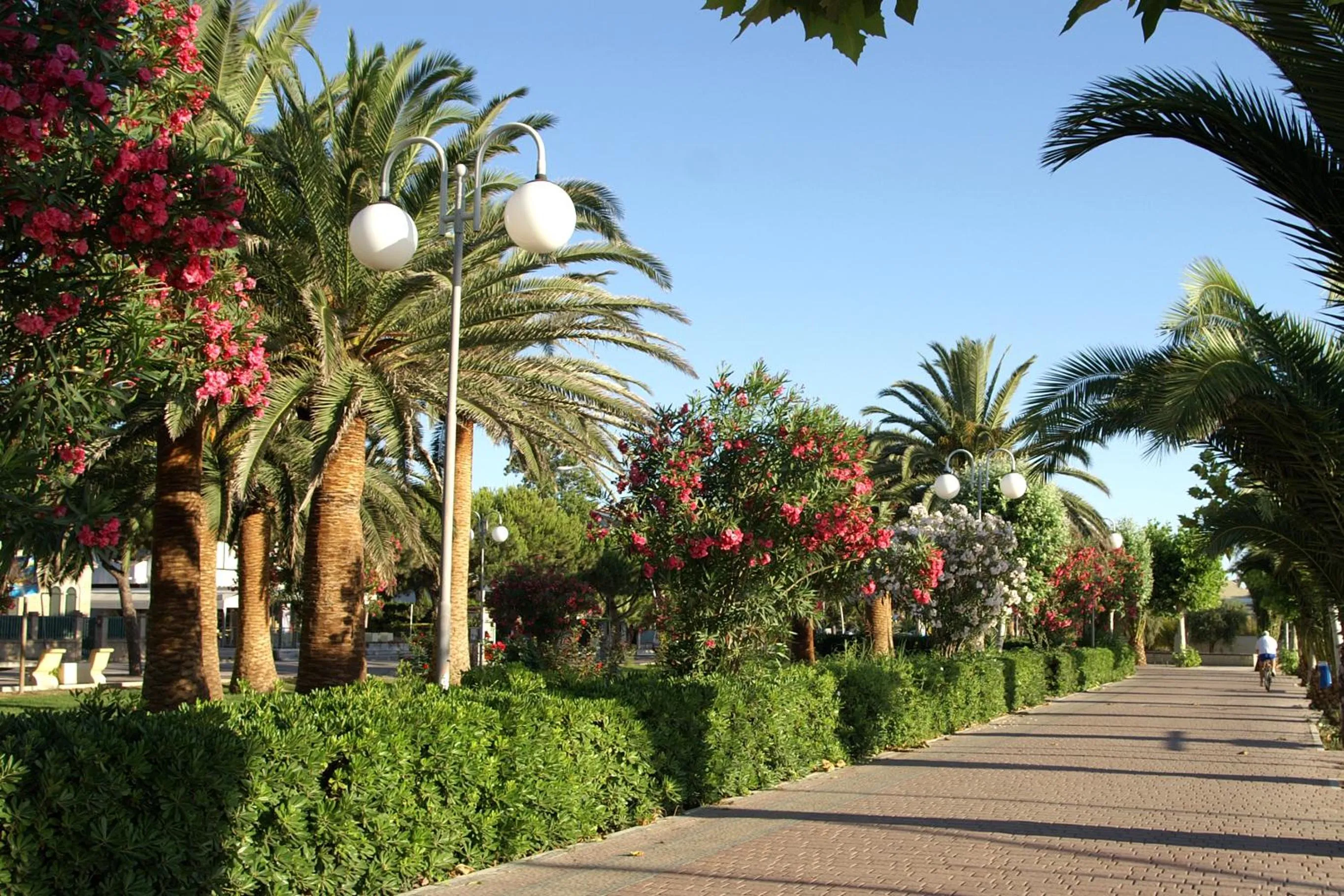 Area and facilities in Residence Helene