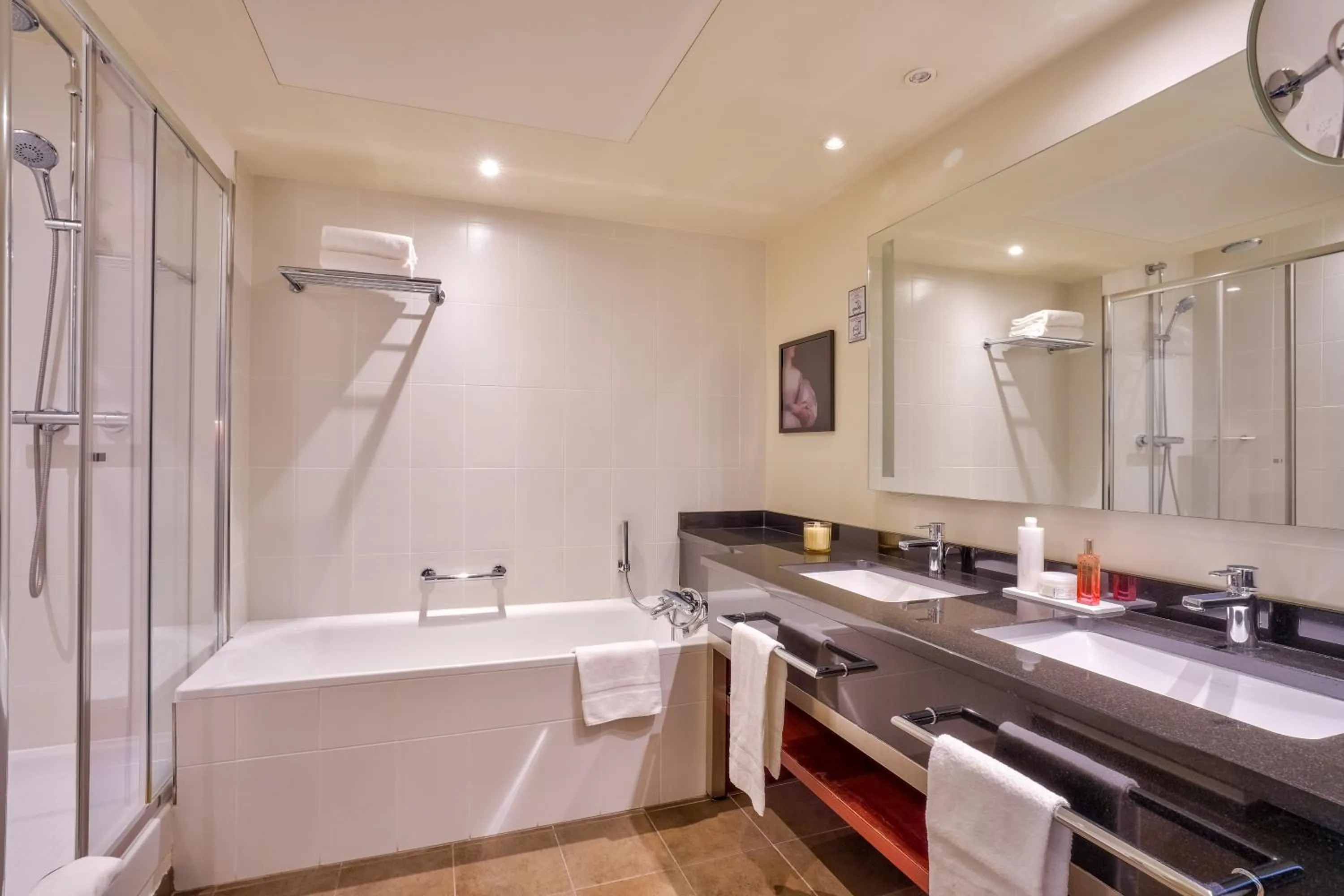 Shower in Clarion Paris CDG Airport