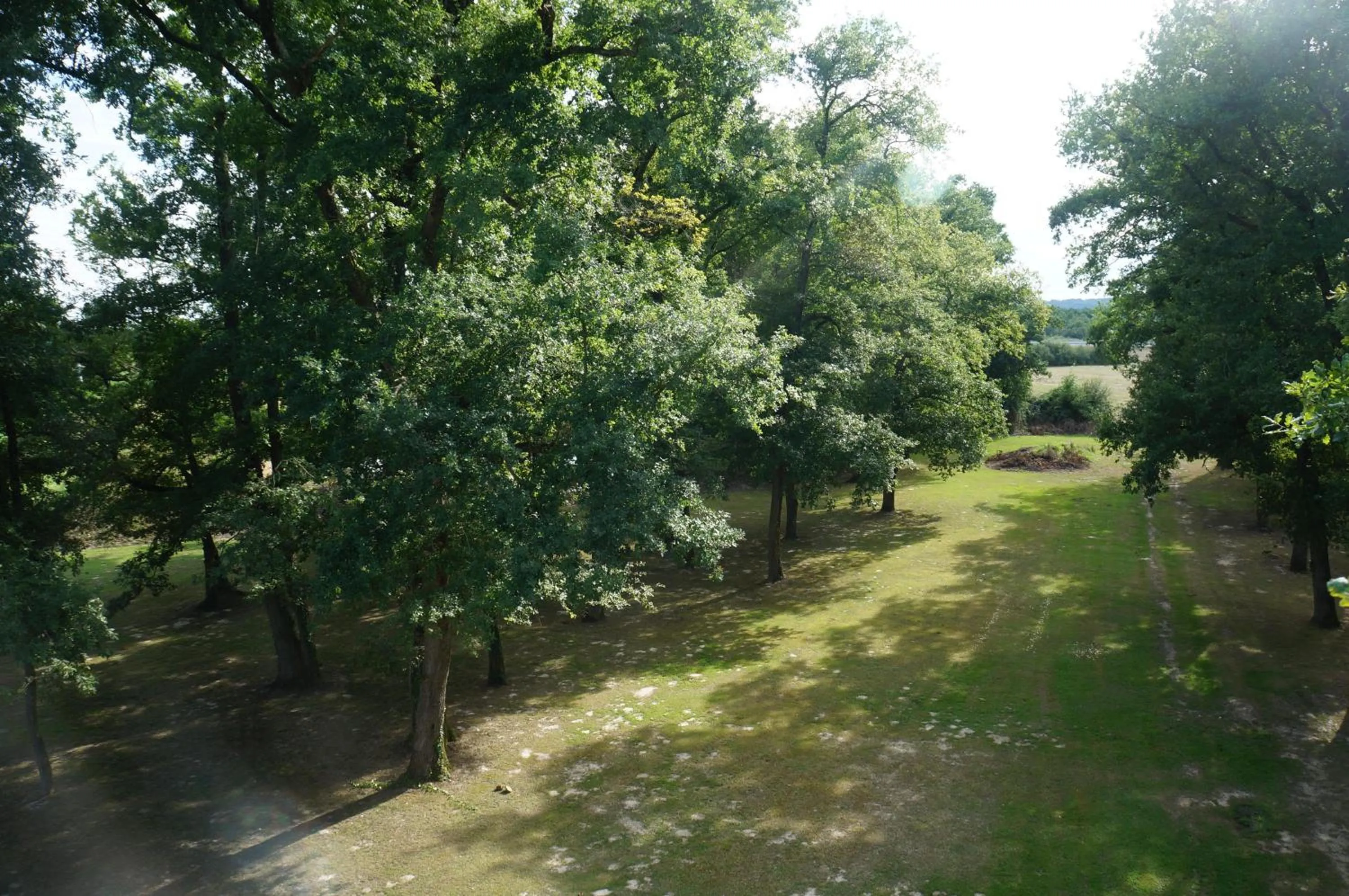 Garden view in Aliotel