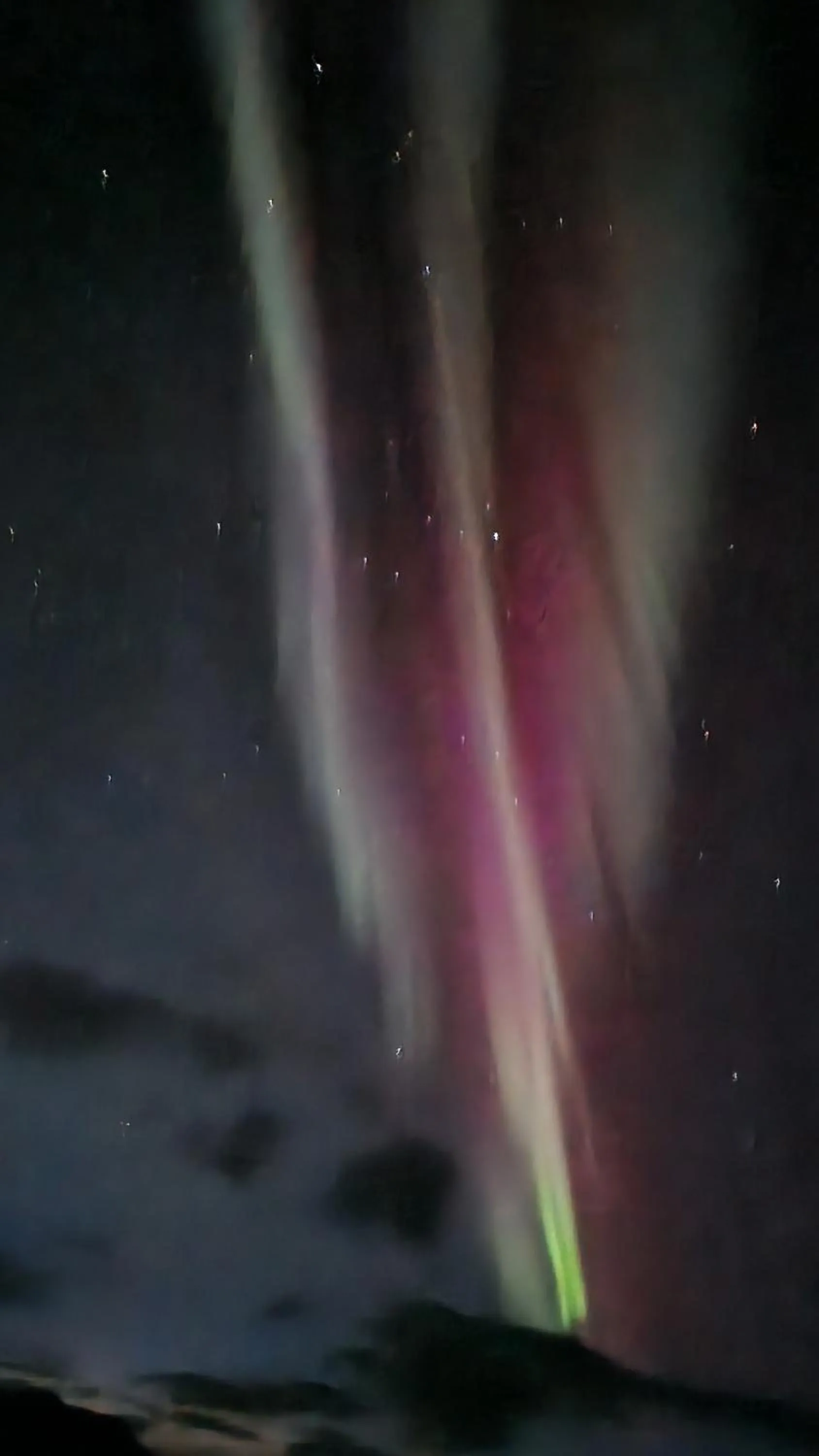 Night in Dis Cottages