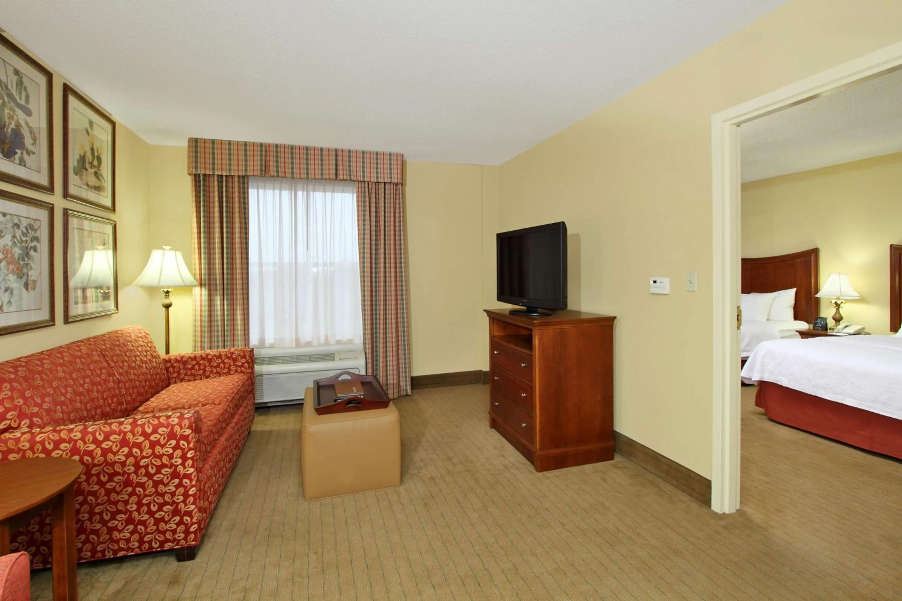 Living room, Bed in Homewood Suites by Hilton Chesapeake - Greenbrier