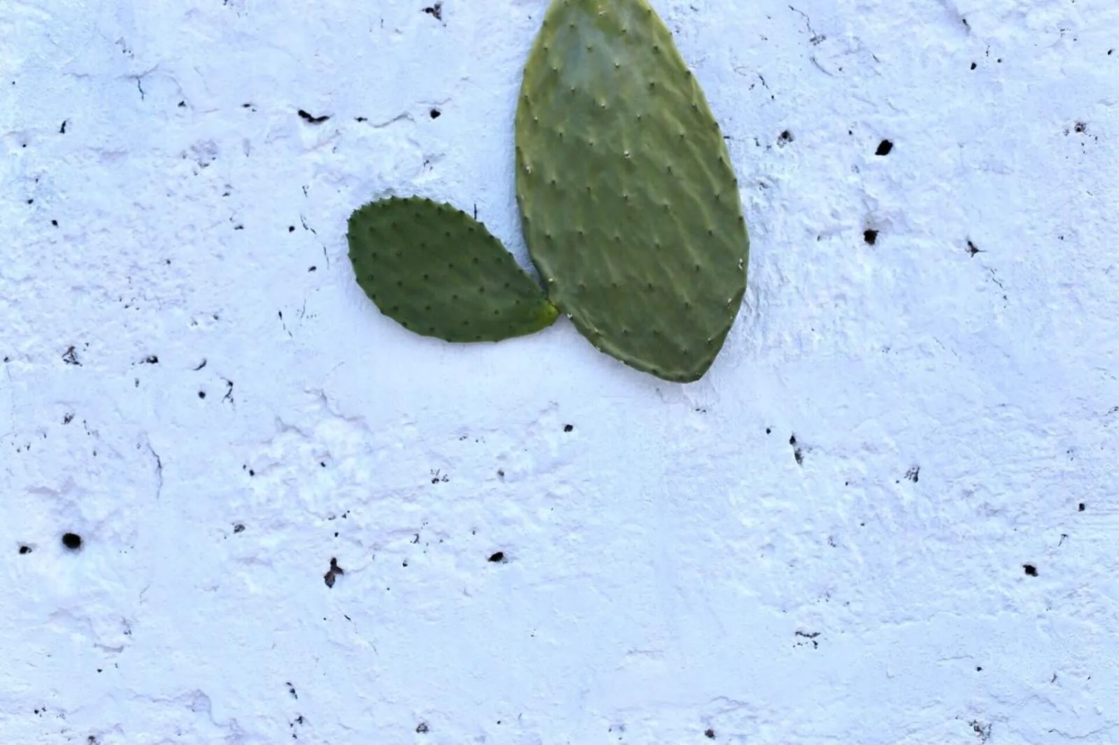 Balcony/Terrace in La Mitria