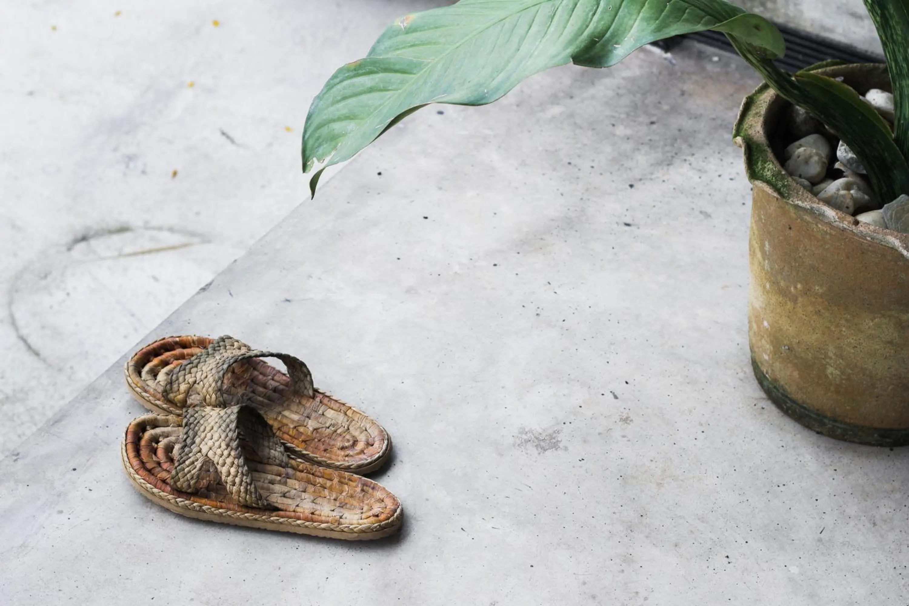 Property building in La moon