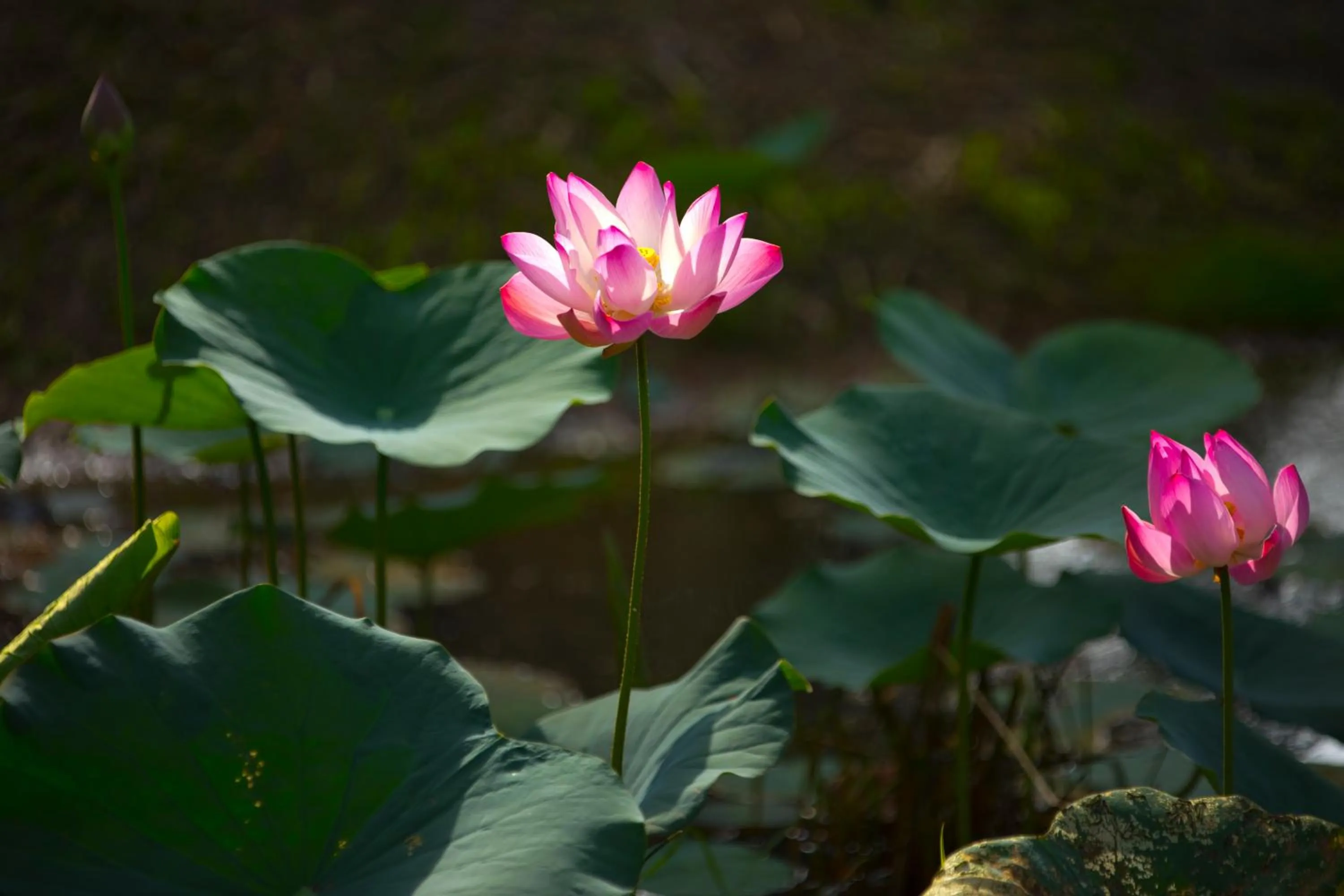 Other in Perhentian Island Resort