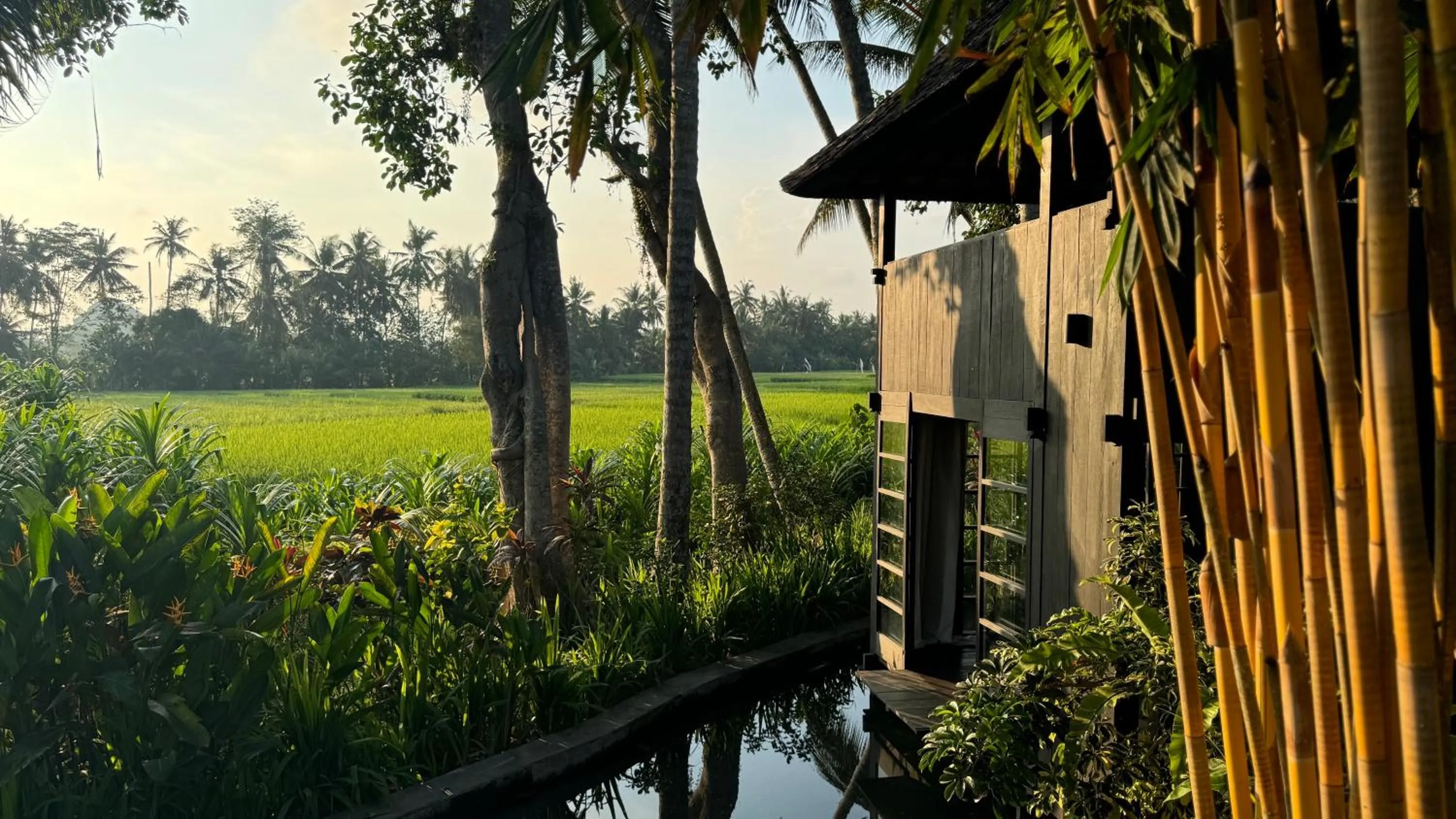 Spa and wellness centre/facilities in Villa Pantulan Bali