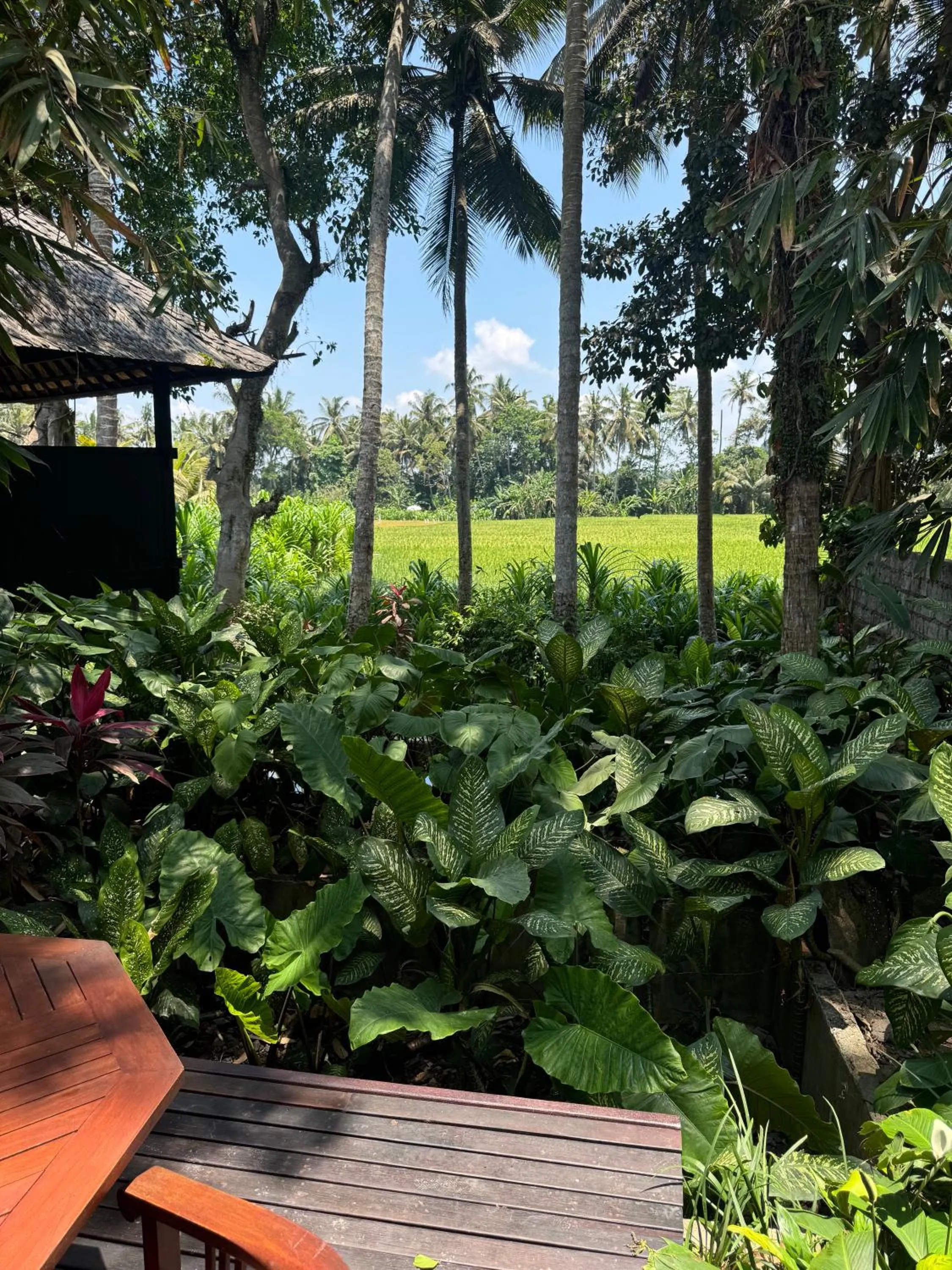 Natural landscape in Villa Pantulan Bali