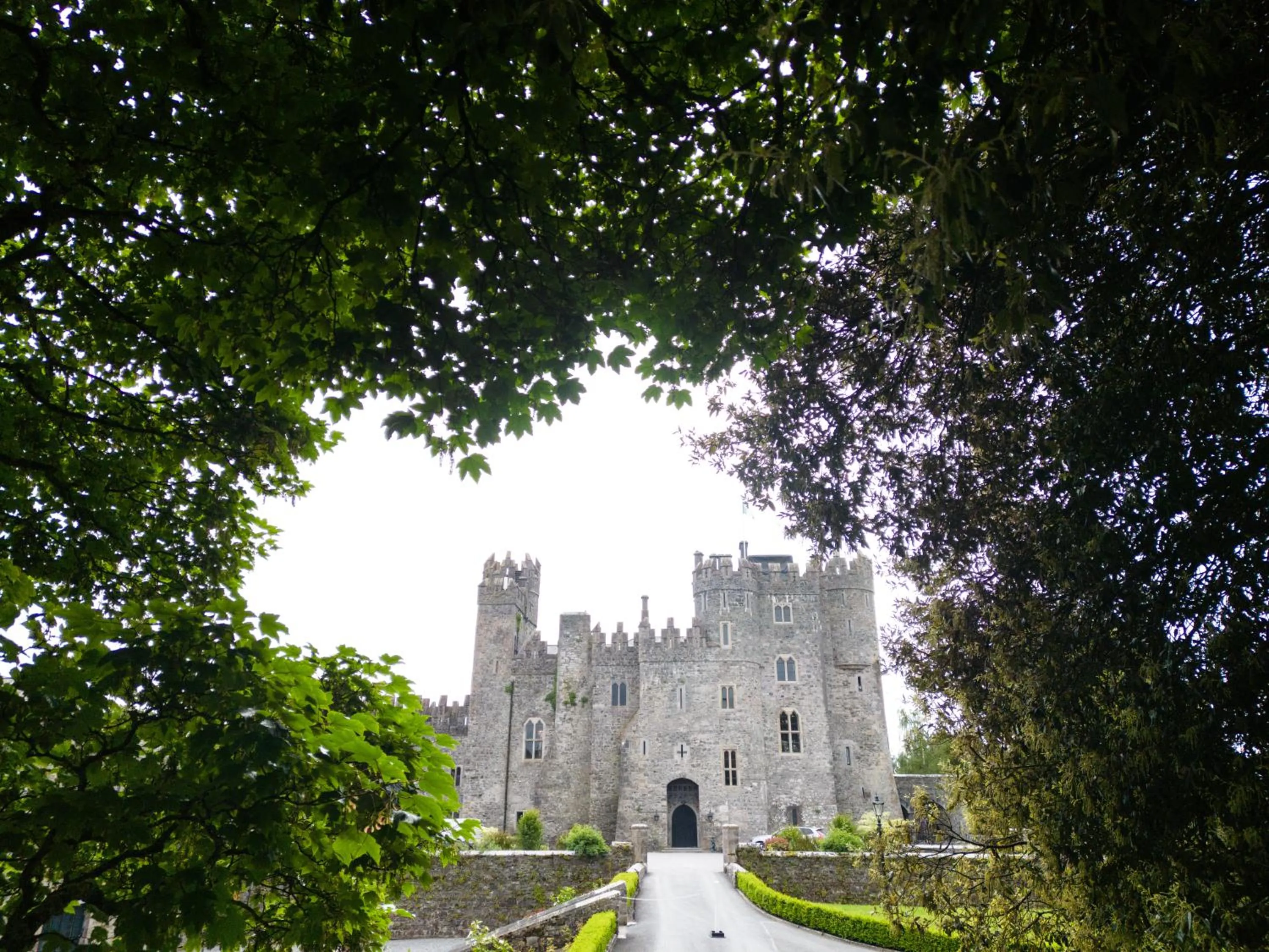 Natural landscape in Kilkea Castle