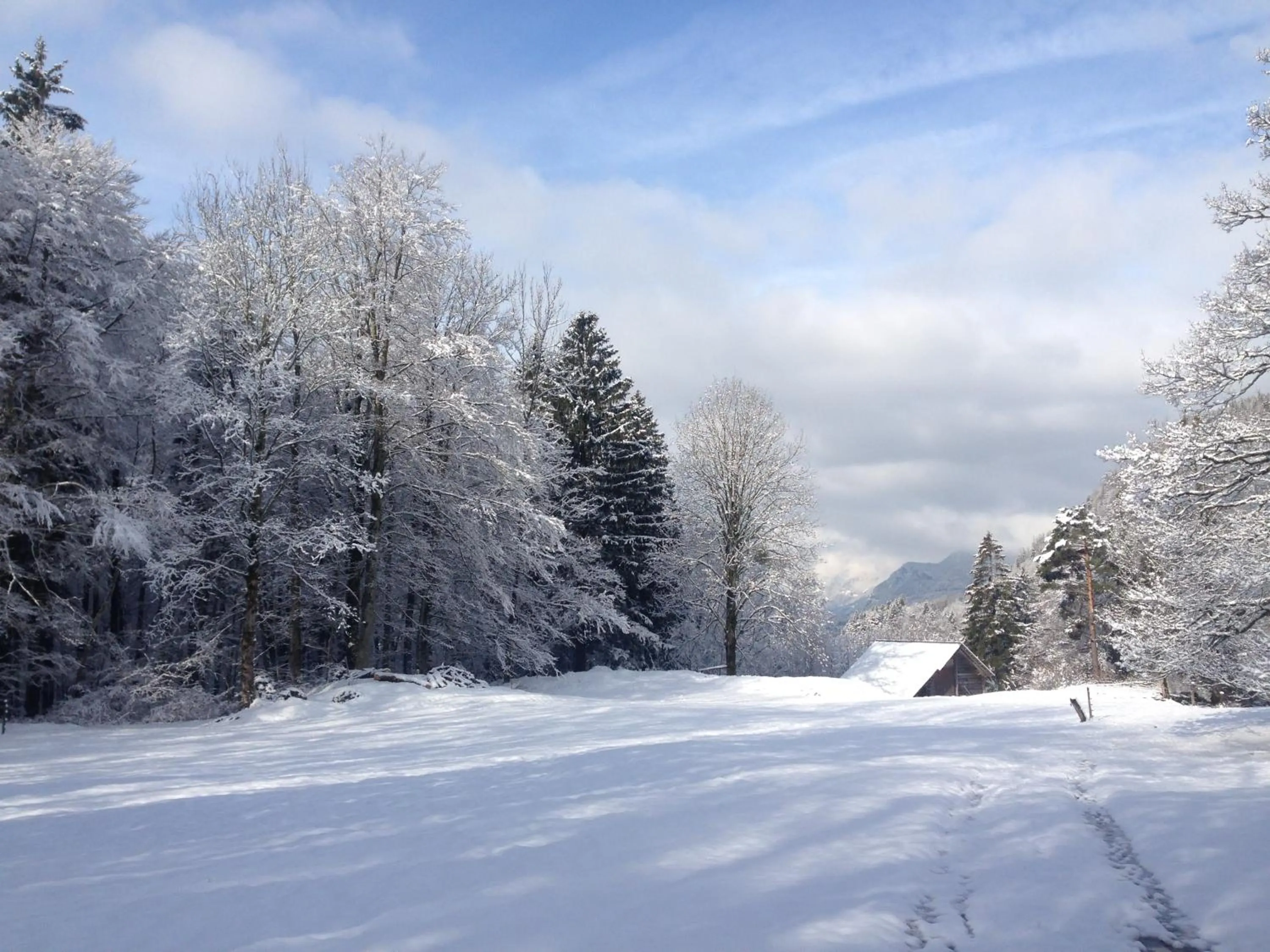 Other in Hotel Hof und Post