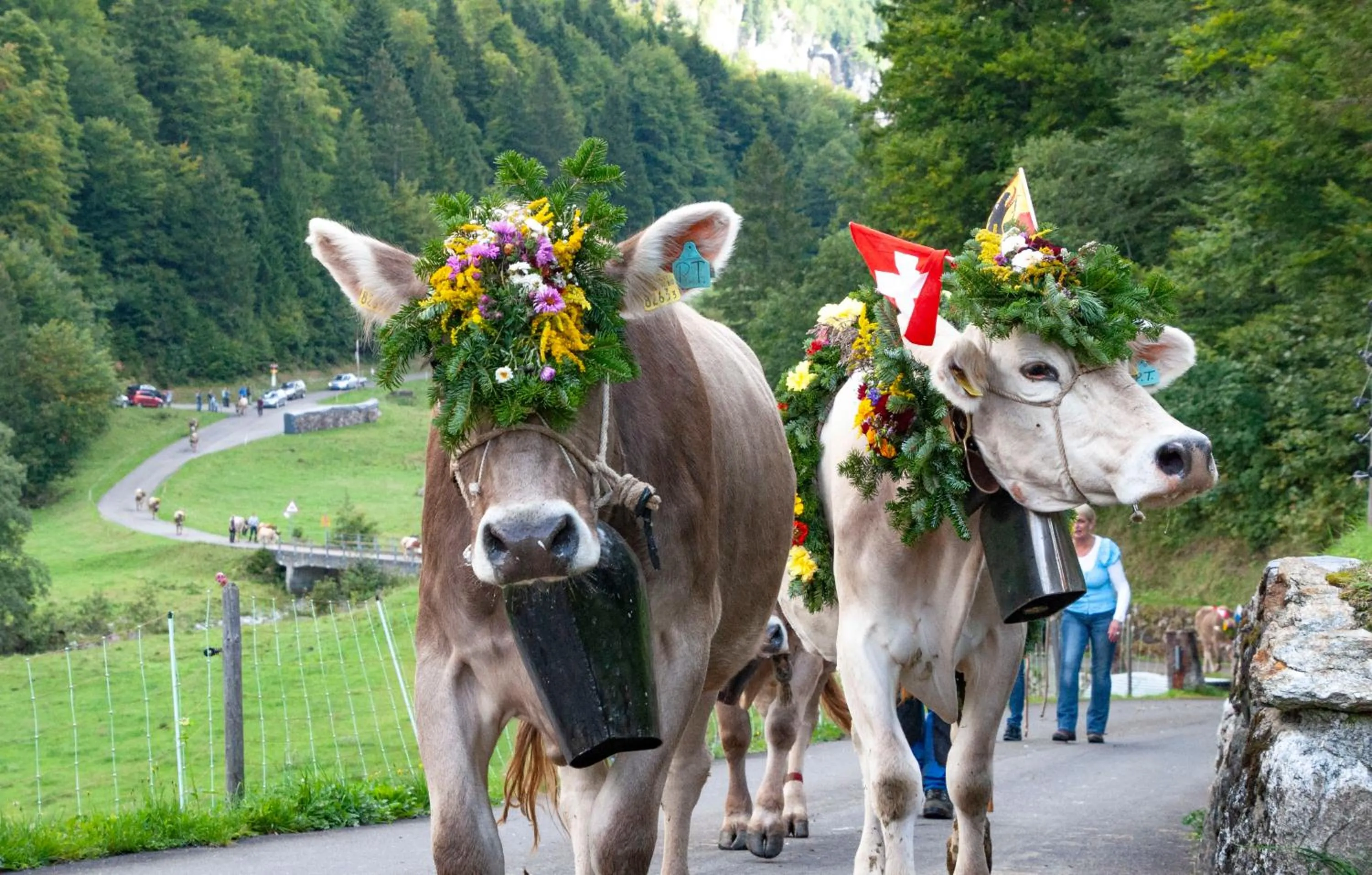 Animals in Hotel Hof und Post