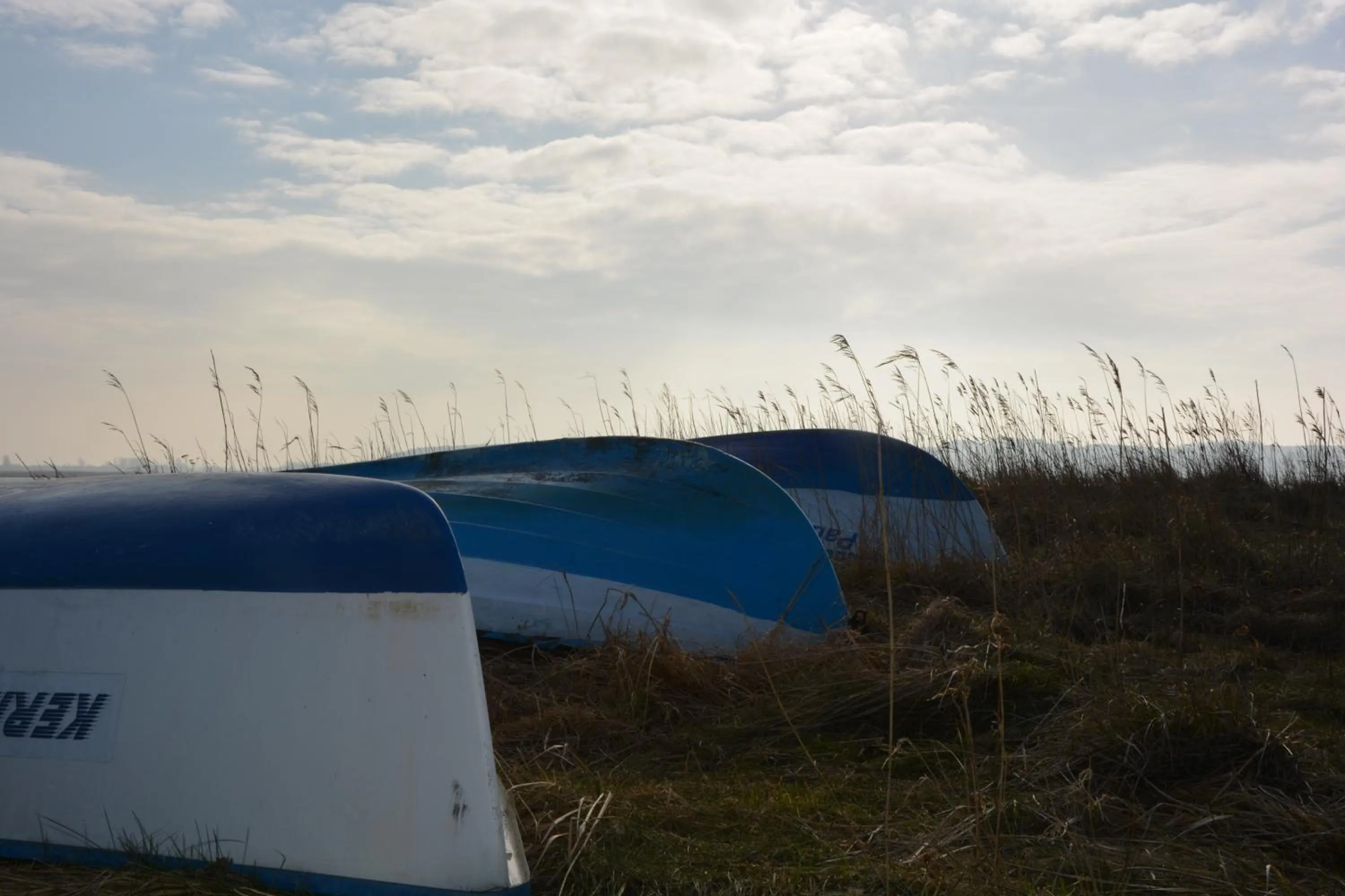 Natural landscape in Reethäuser auf Rügen