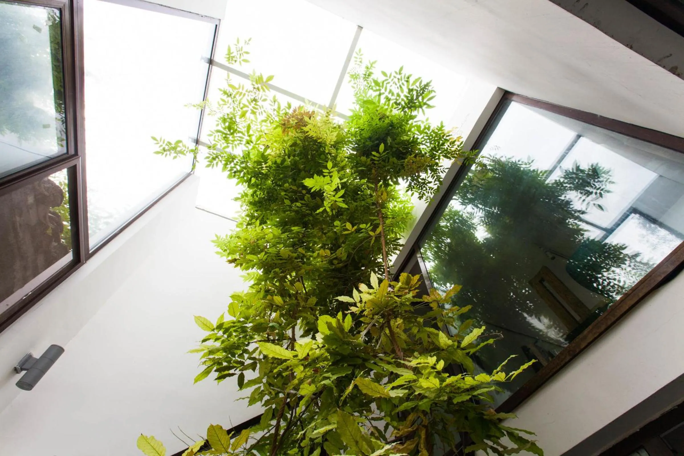 Other in The Orchid Hotel - Old Town & Drum Tower