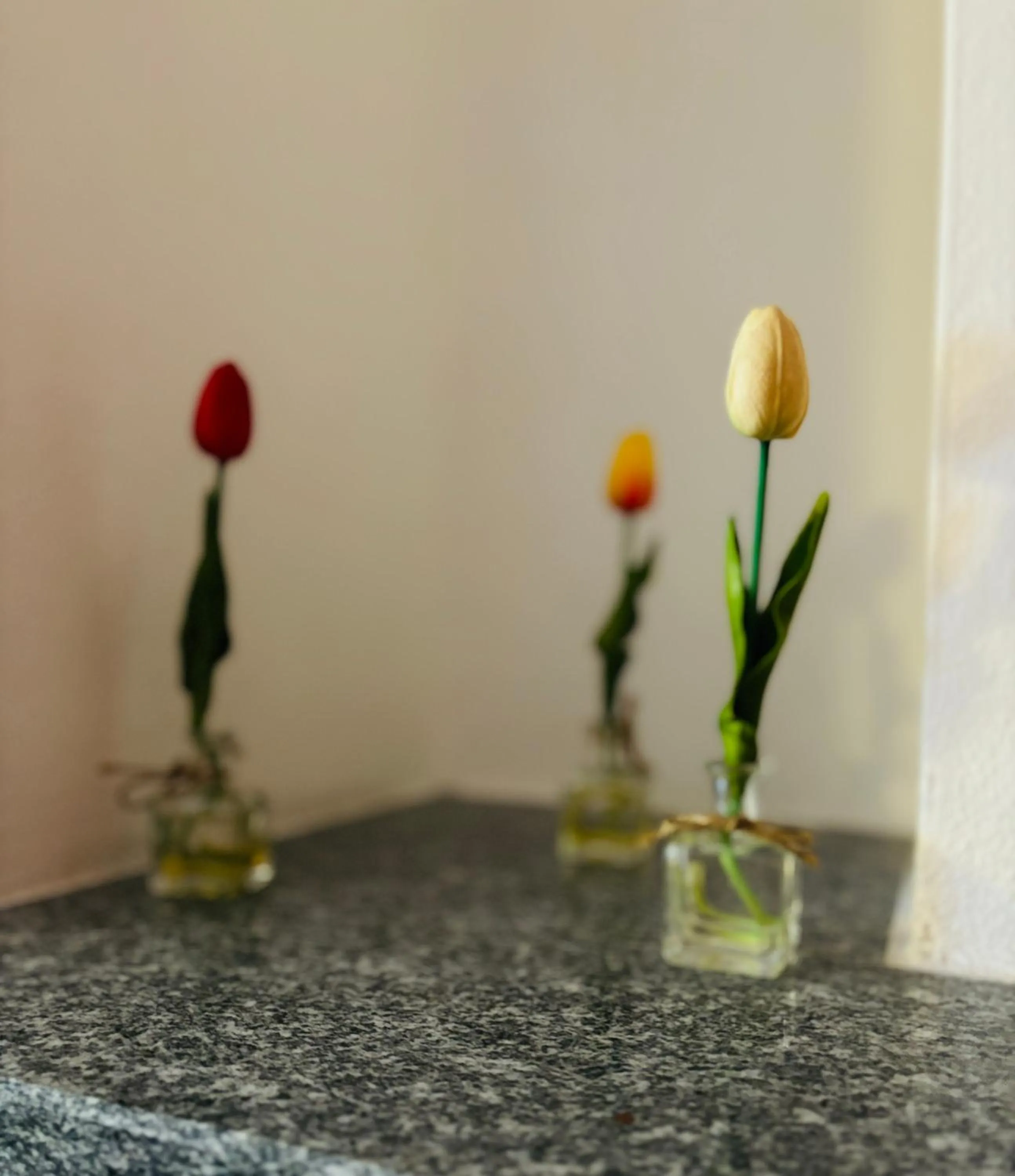 Decorative detail in Residence Pizzo Scalino