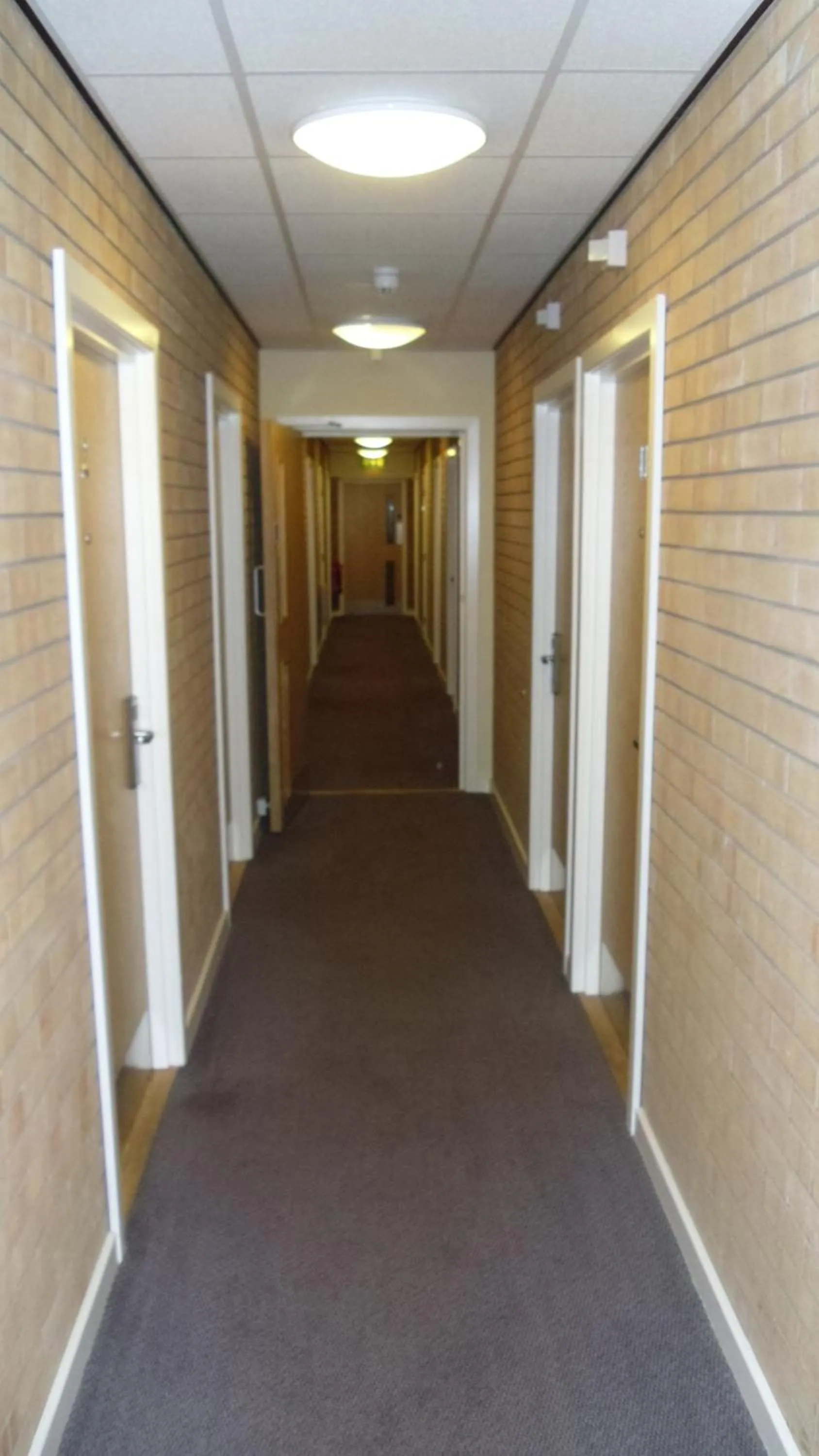 Property building in Eyesleepover