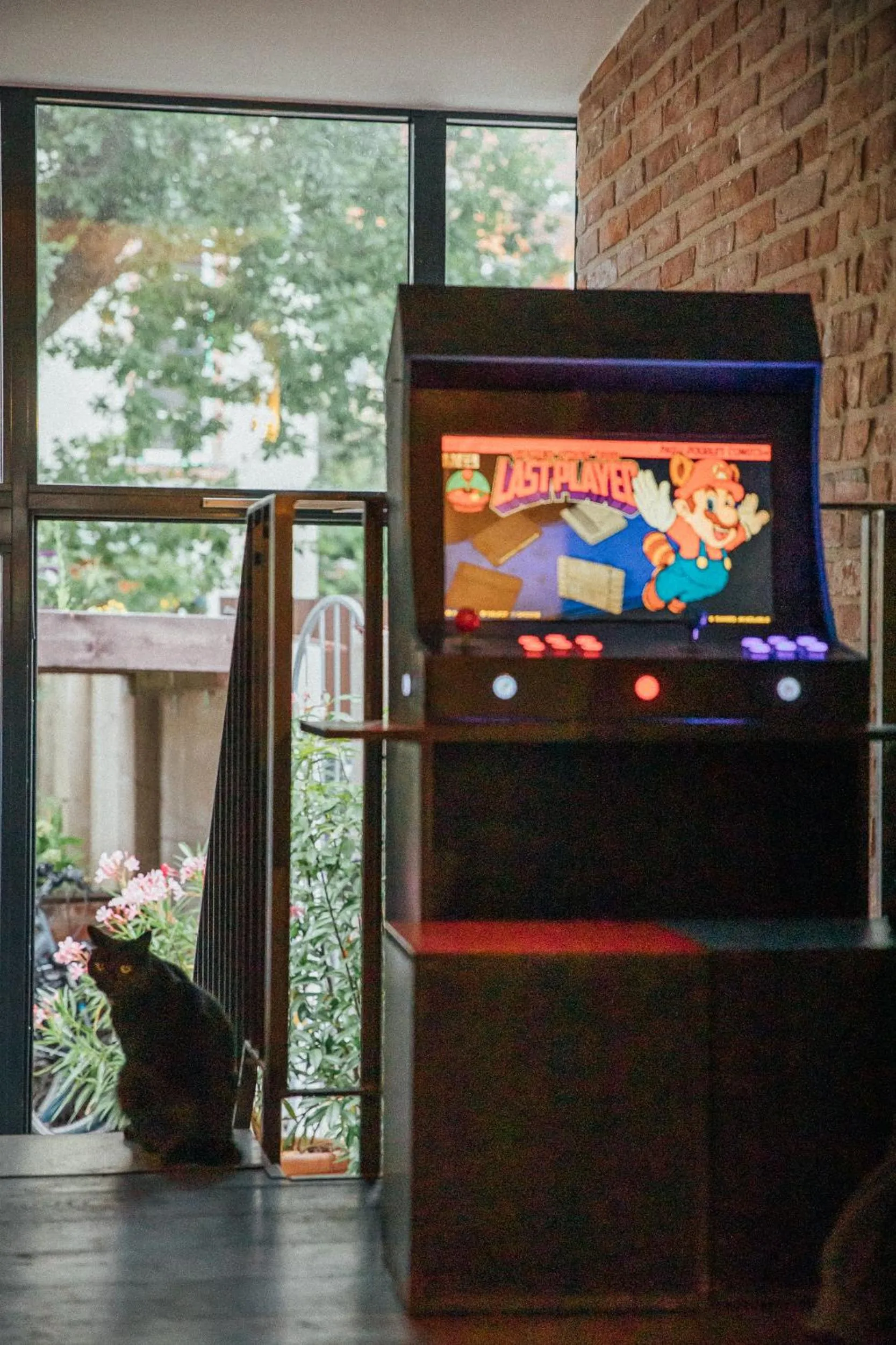 Lounge or bar in Hostel Multitude