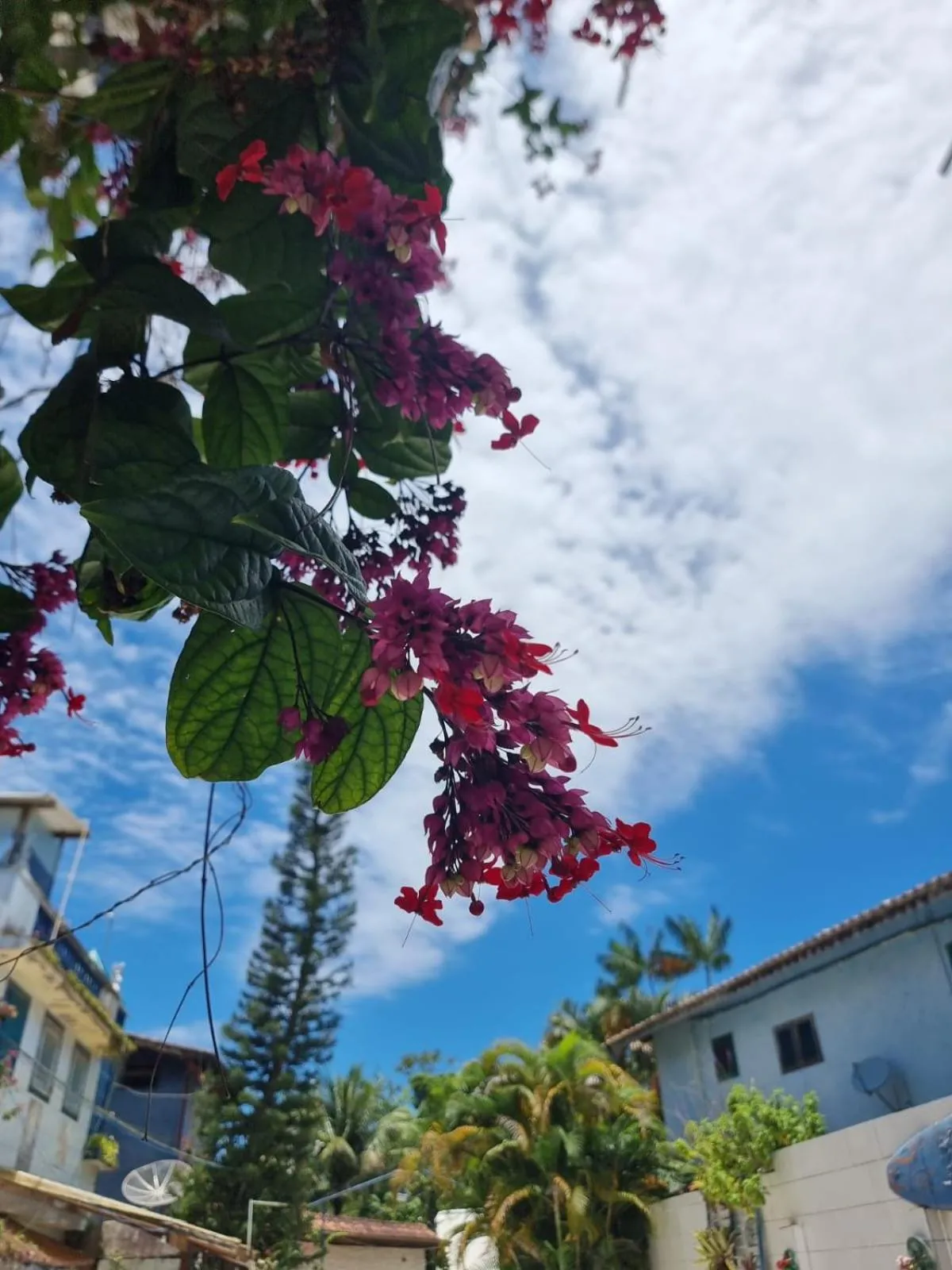 Pousada Solstício De Verão