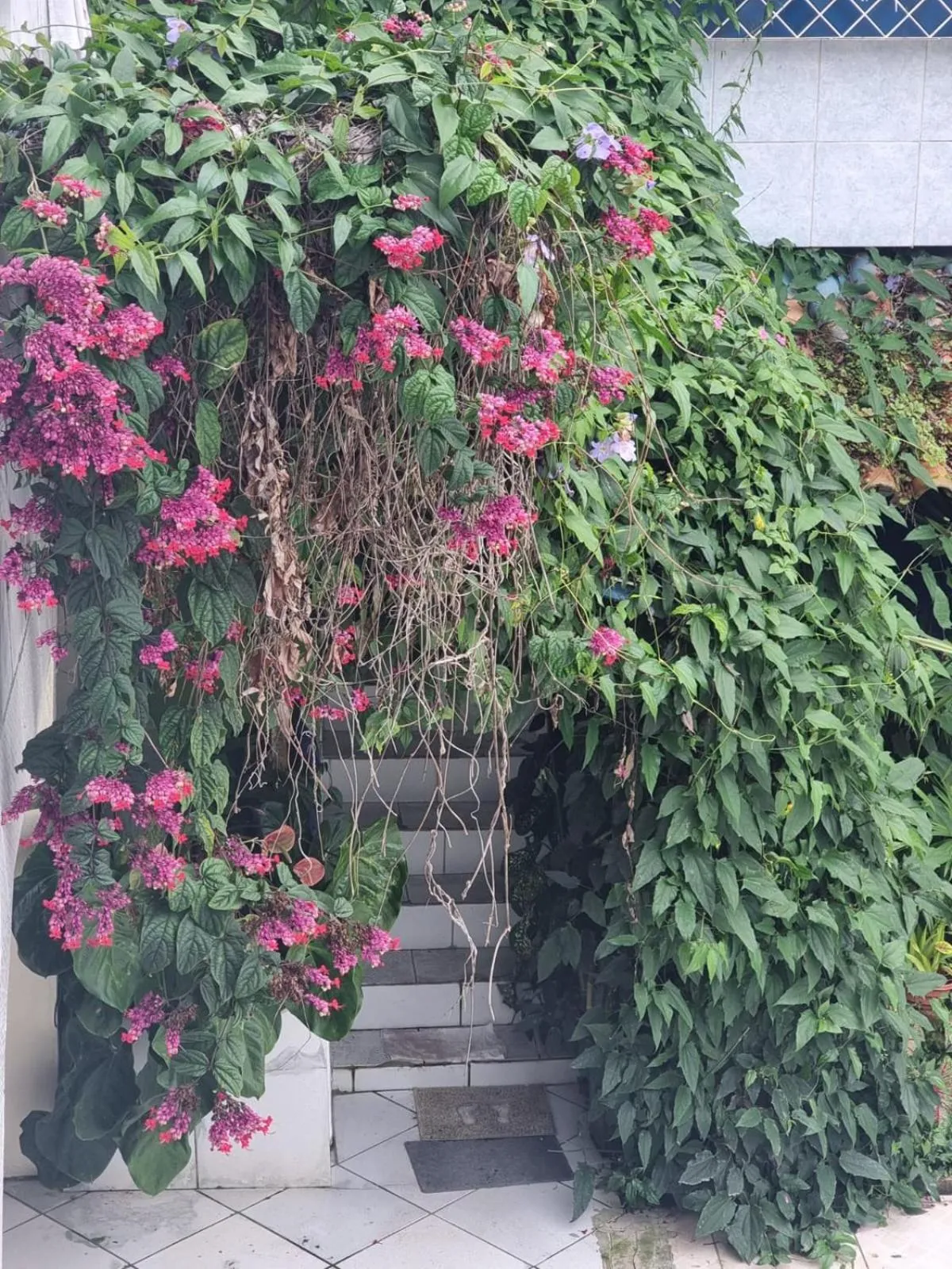 Pousada Solstício De Verão
