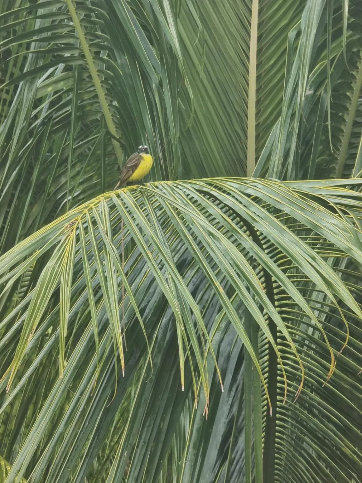 Pousada Solstício De Verão