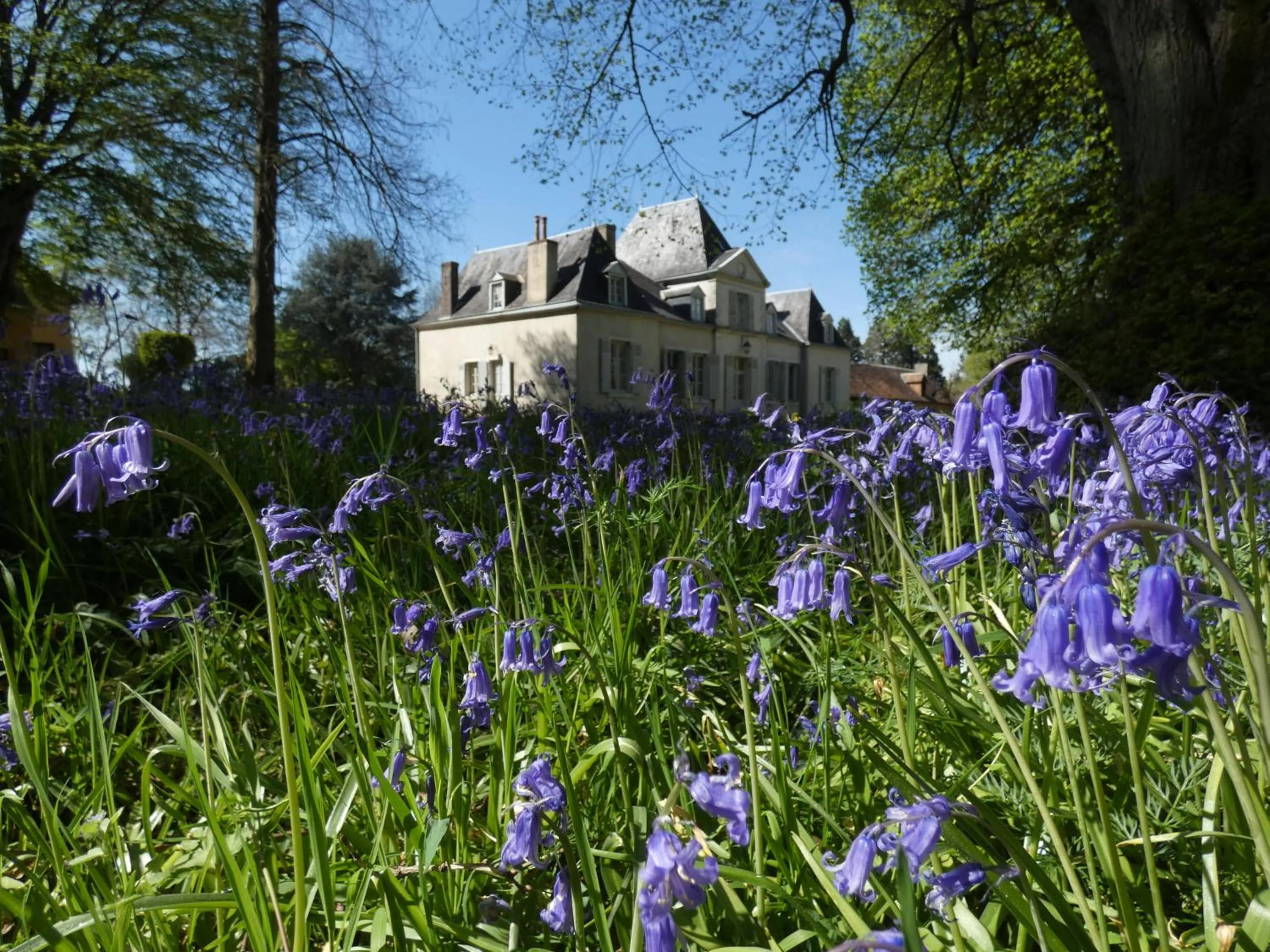 Facade/entrance in Domaine De Chatenay - Le Mans