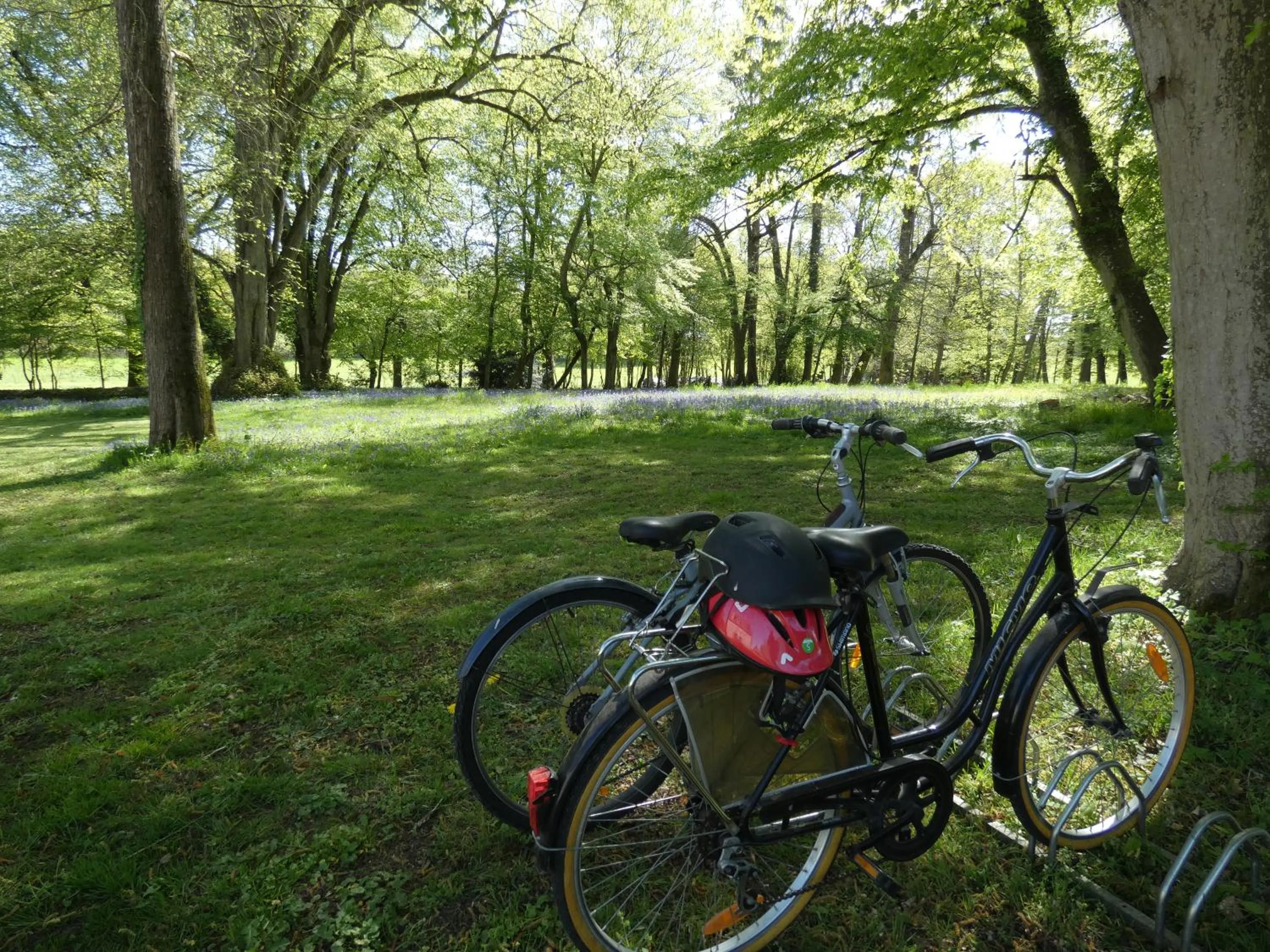 Activities in Domaine De Chatenay - Le Mans