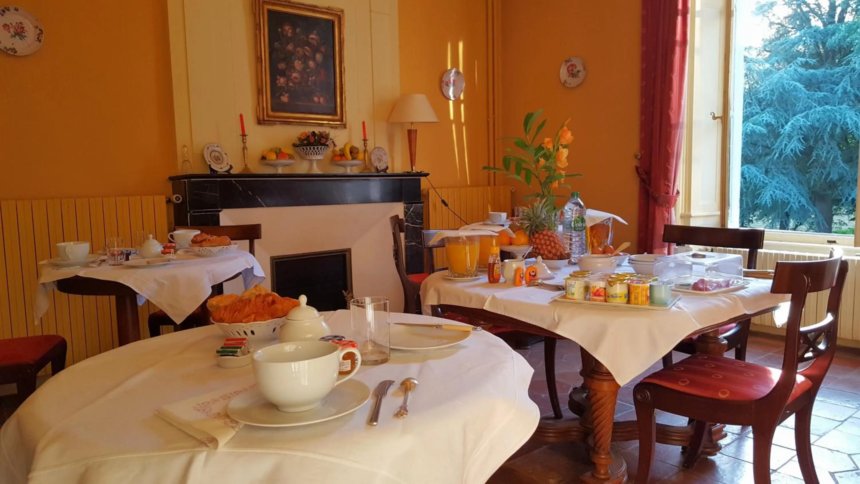 Continental breakfast in Domaine De Chatenay - Le Mans
