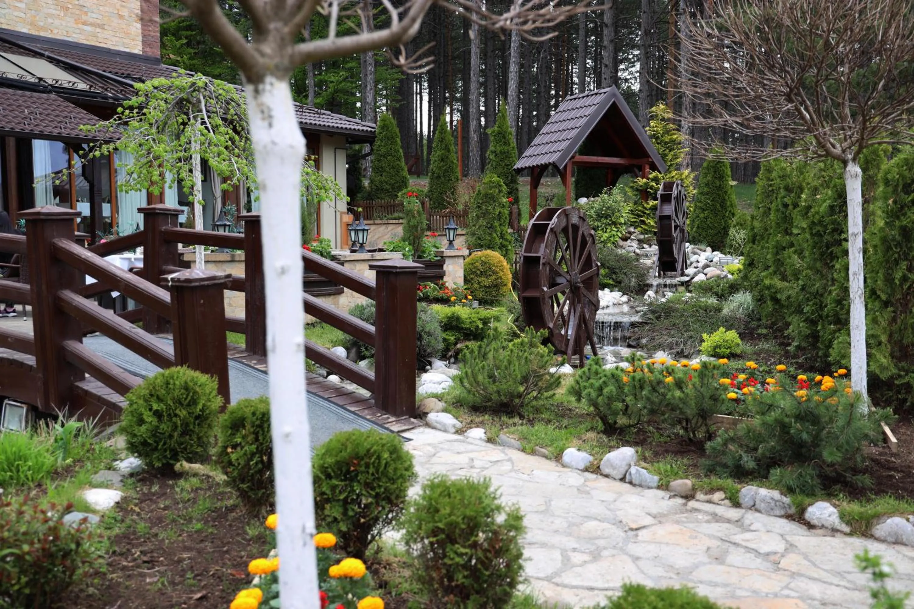 Garden in Apartman Svetogorska