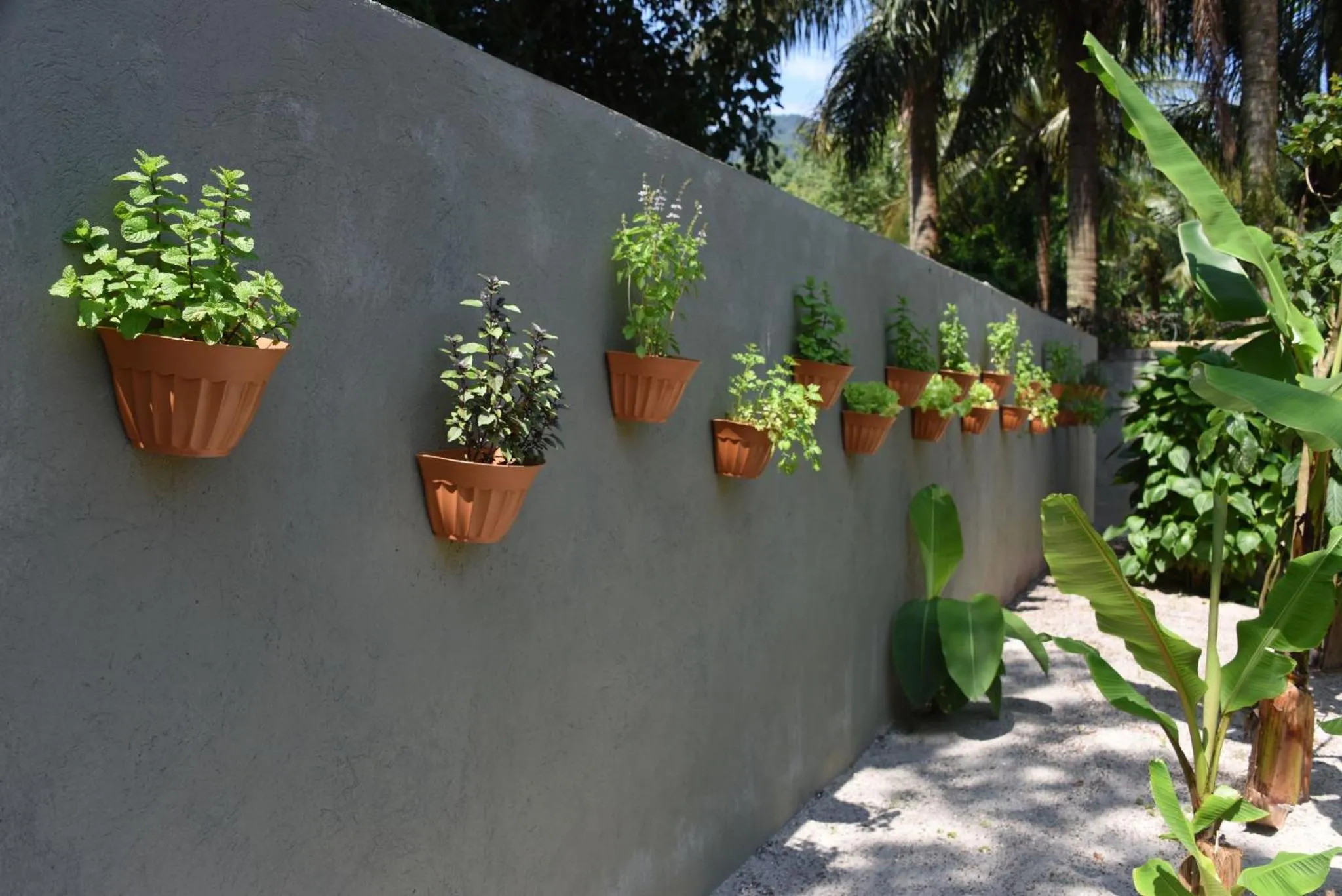 Garden in Pousada Porto Mare