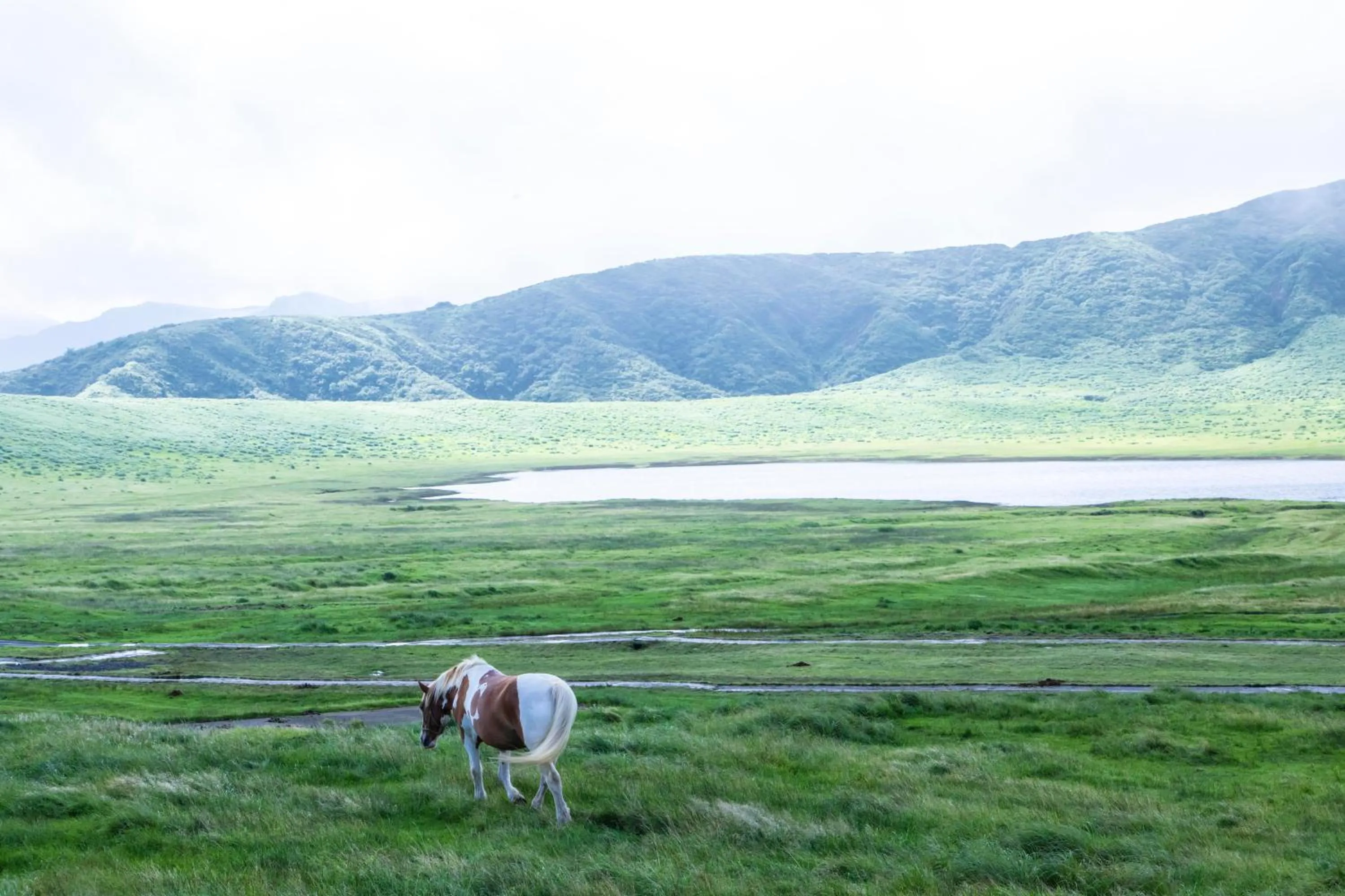 Kyukamura Minami-Aso