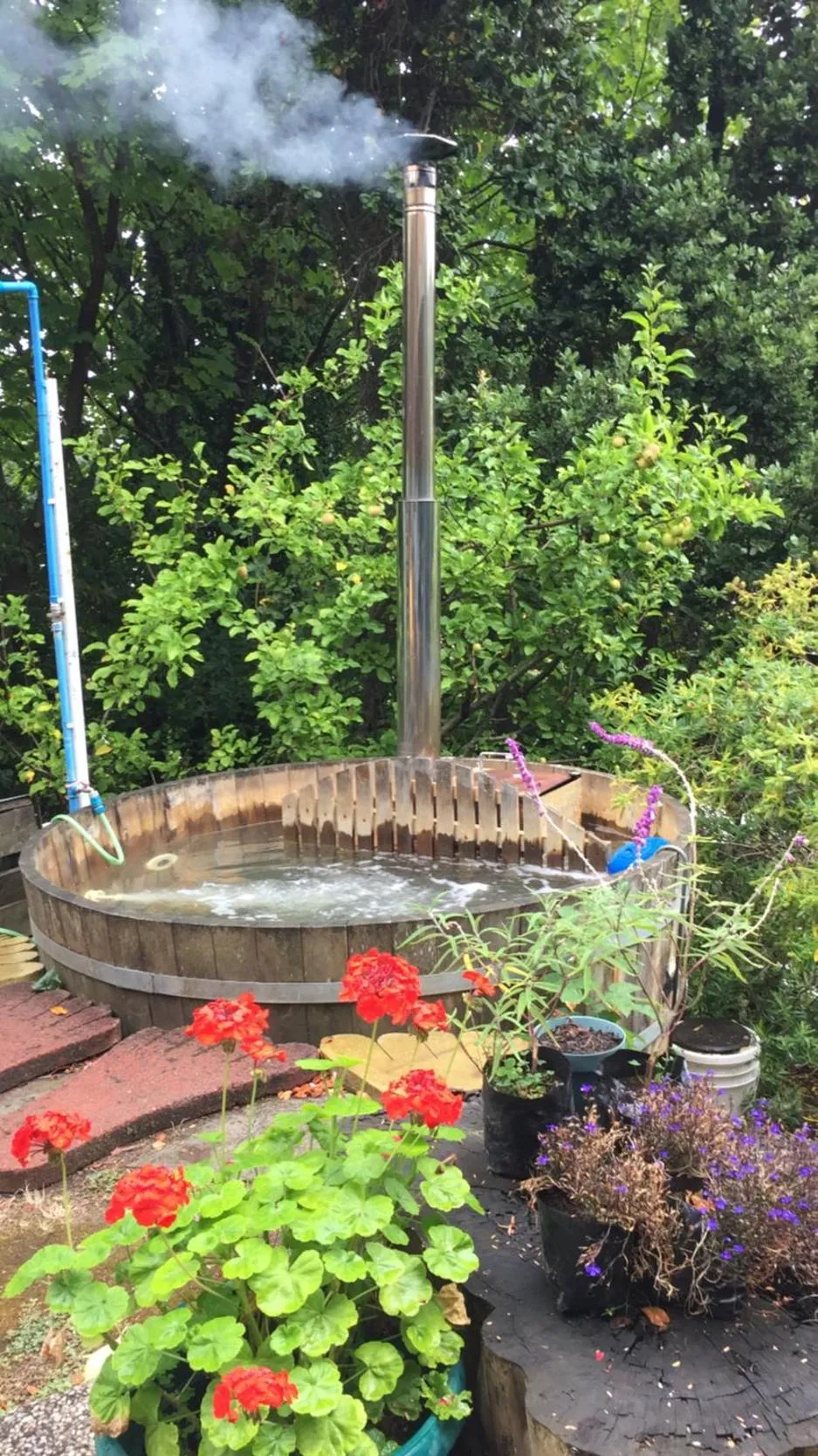 Garden in Hotel Seminario