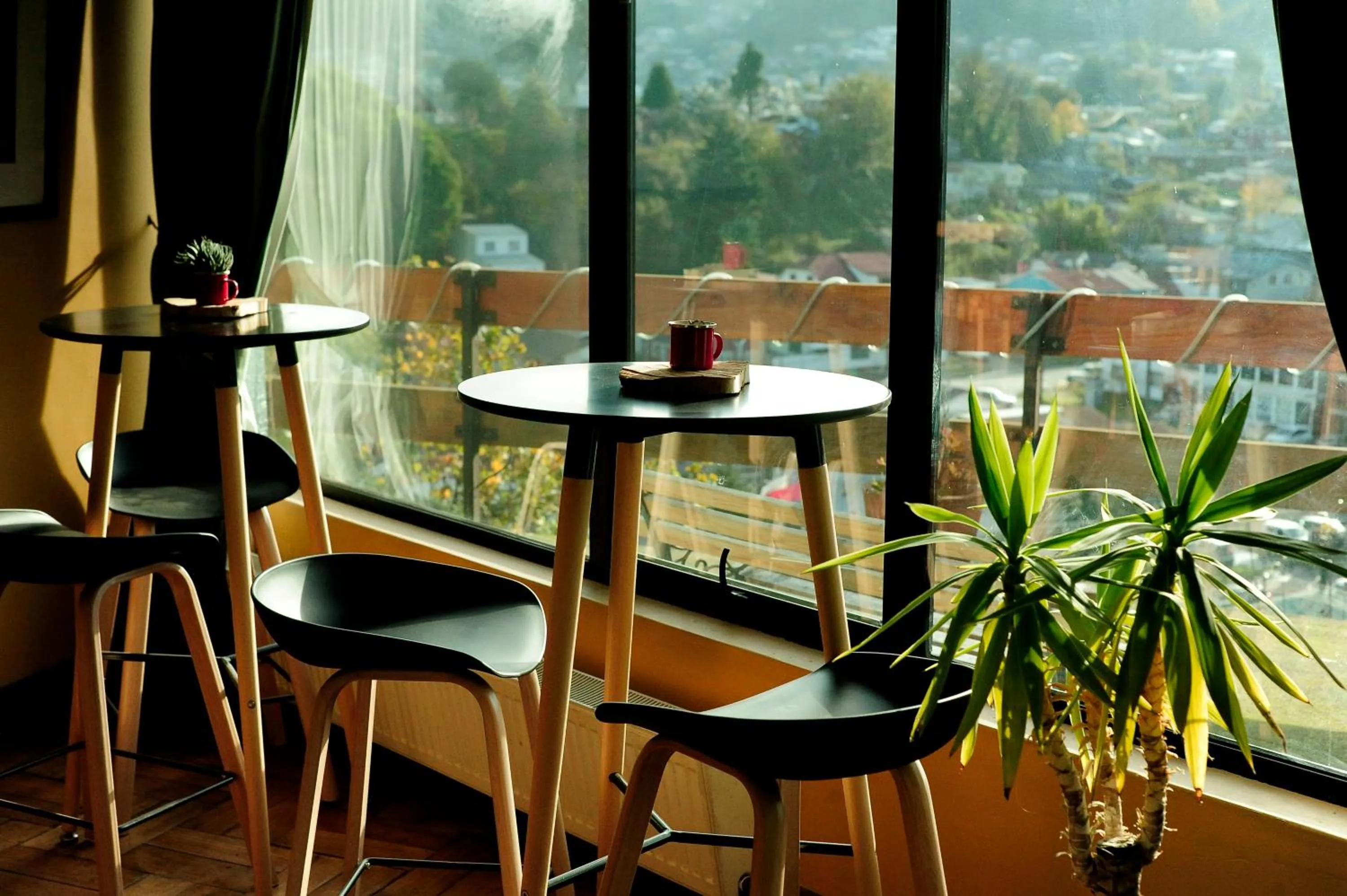 Restaurant/places to eat in Hotel Seminario