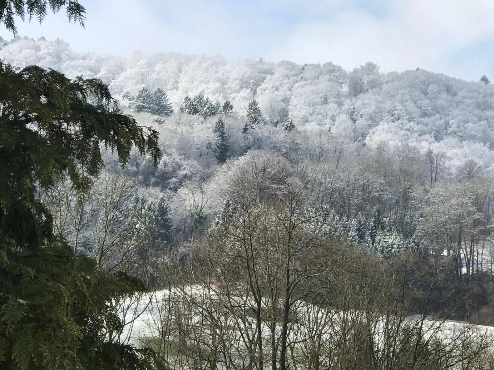 Bed n Breakfast Obermumpf