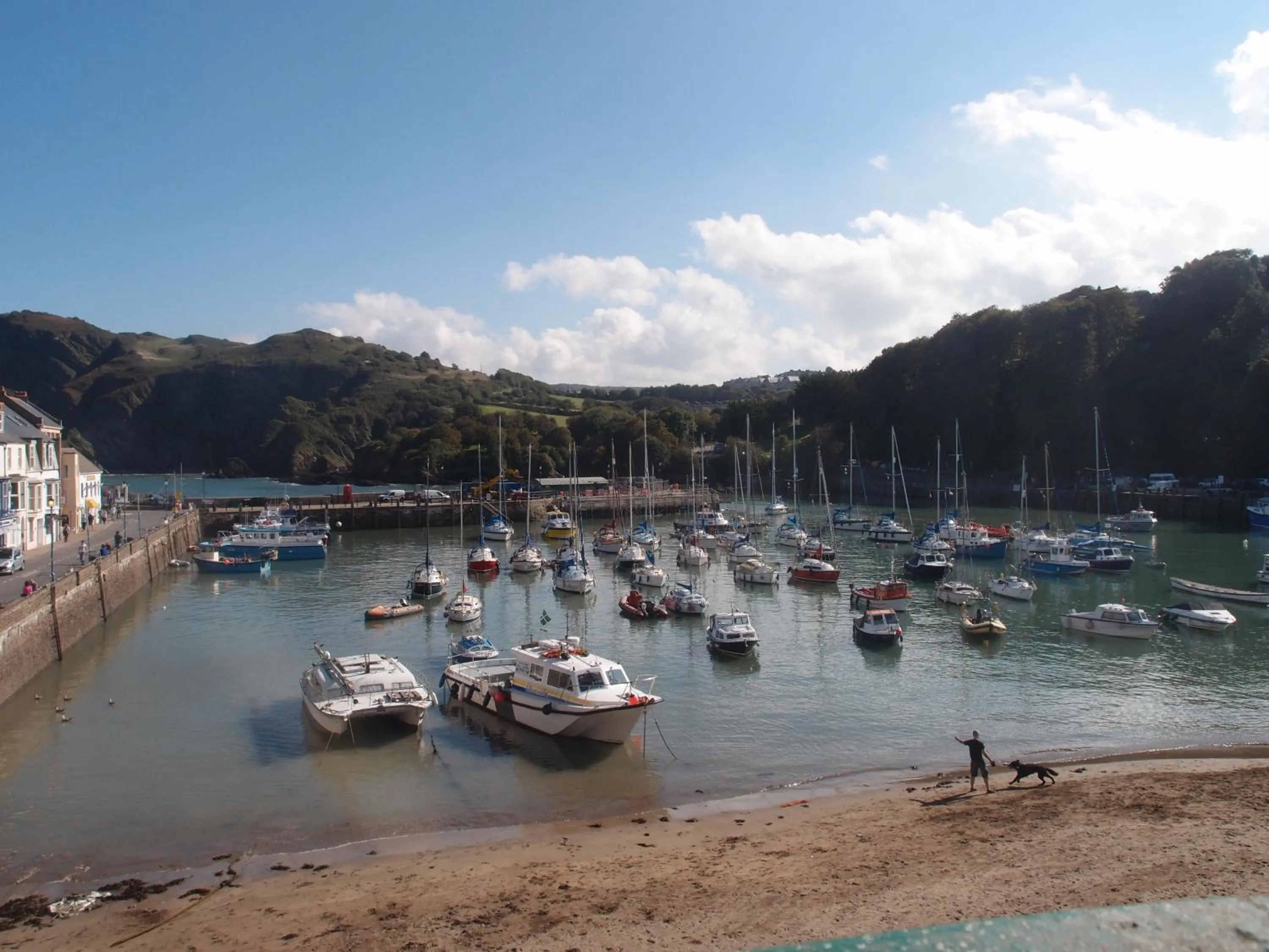 Garden in Royal Britannia Hotel