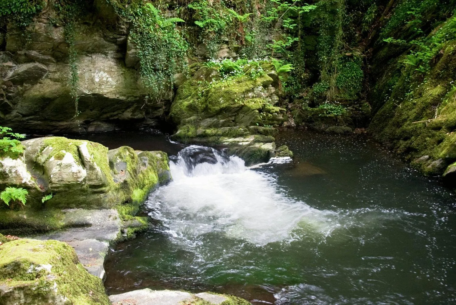 Day in The Rockford Inn