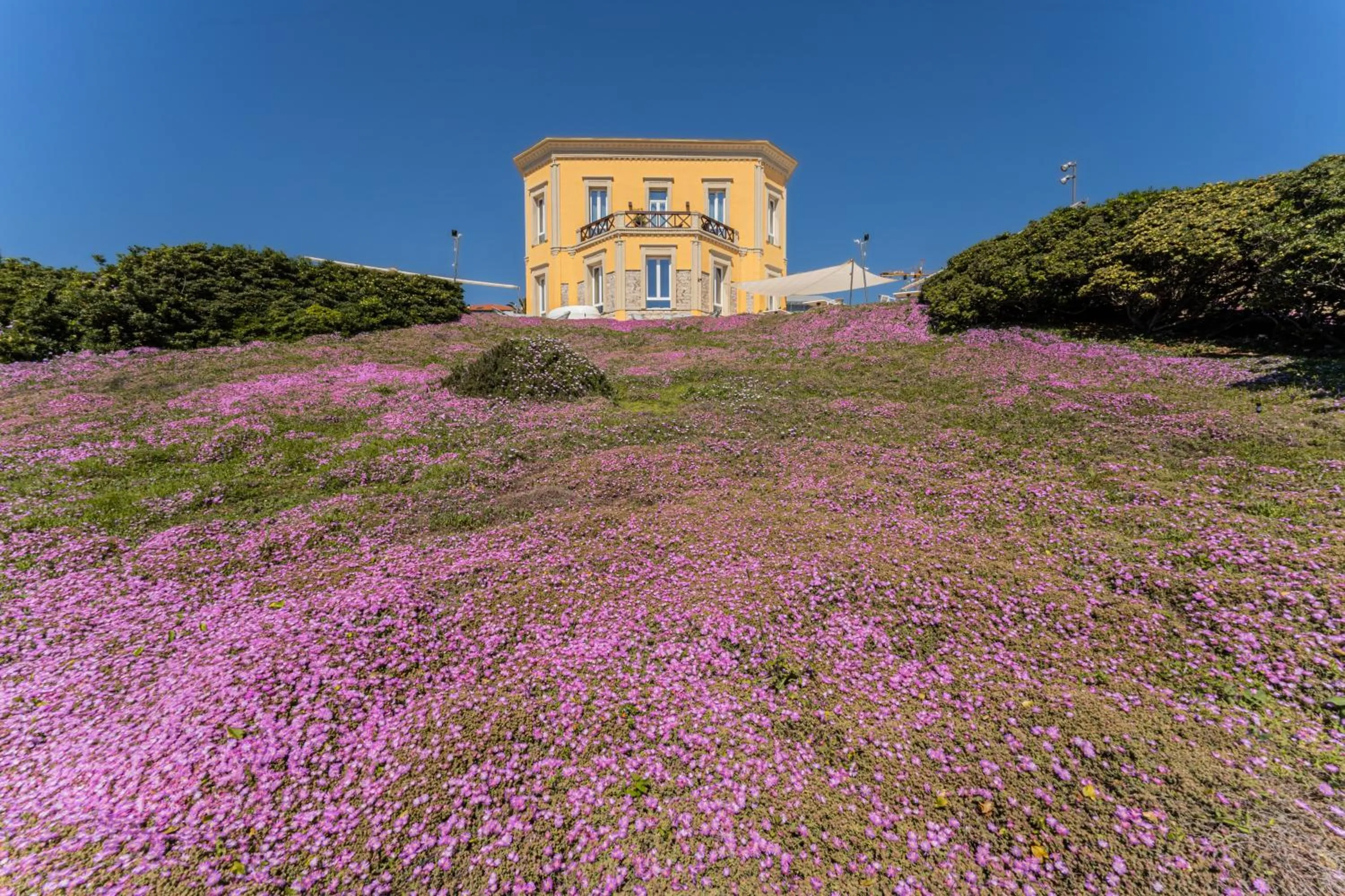 Property building in Villa Mosca Charming House