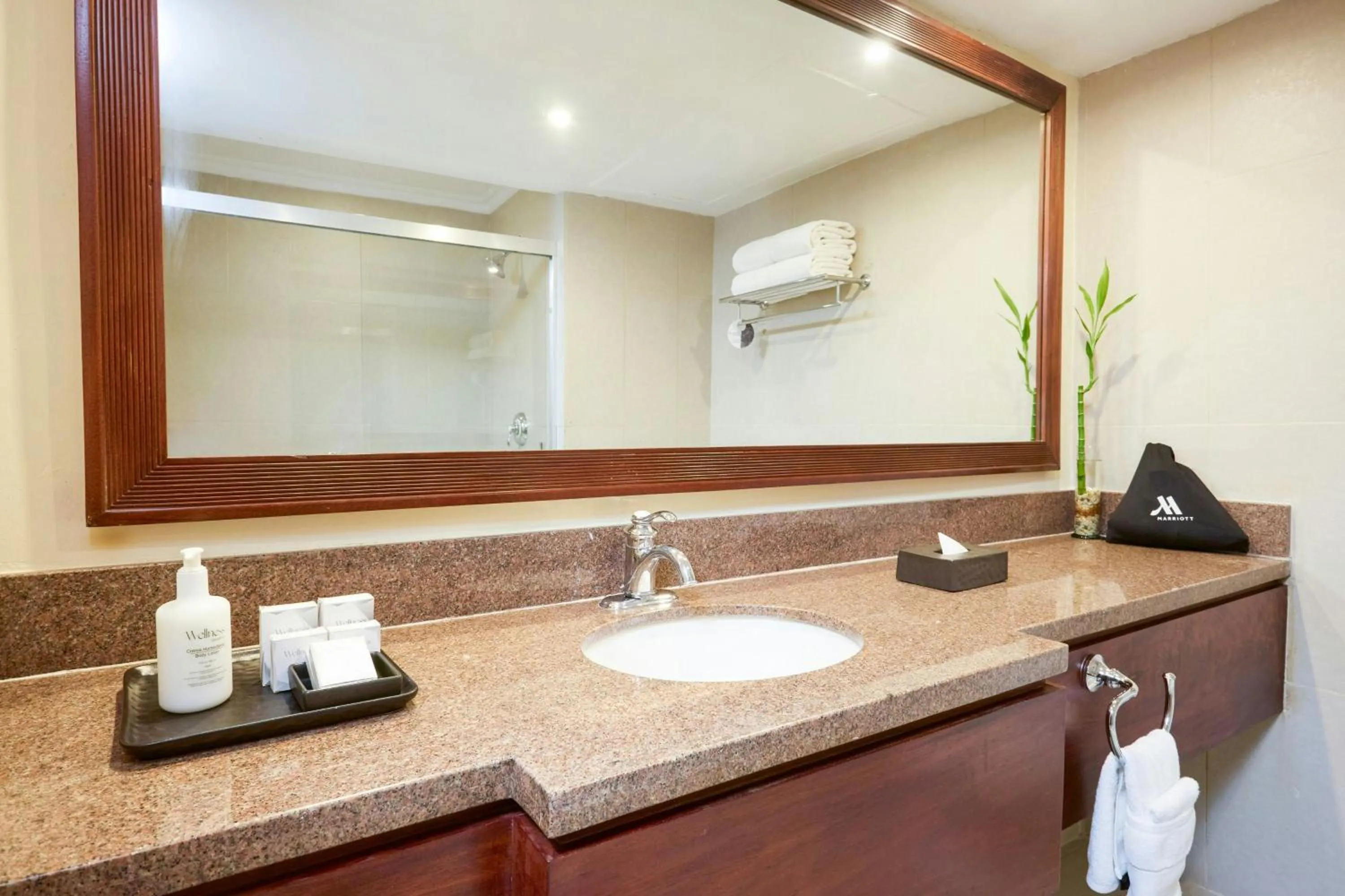 Bathroom in Marriott Venezuela Hotel Playa Grande