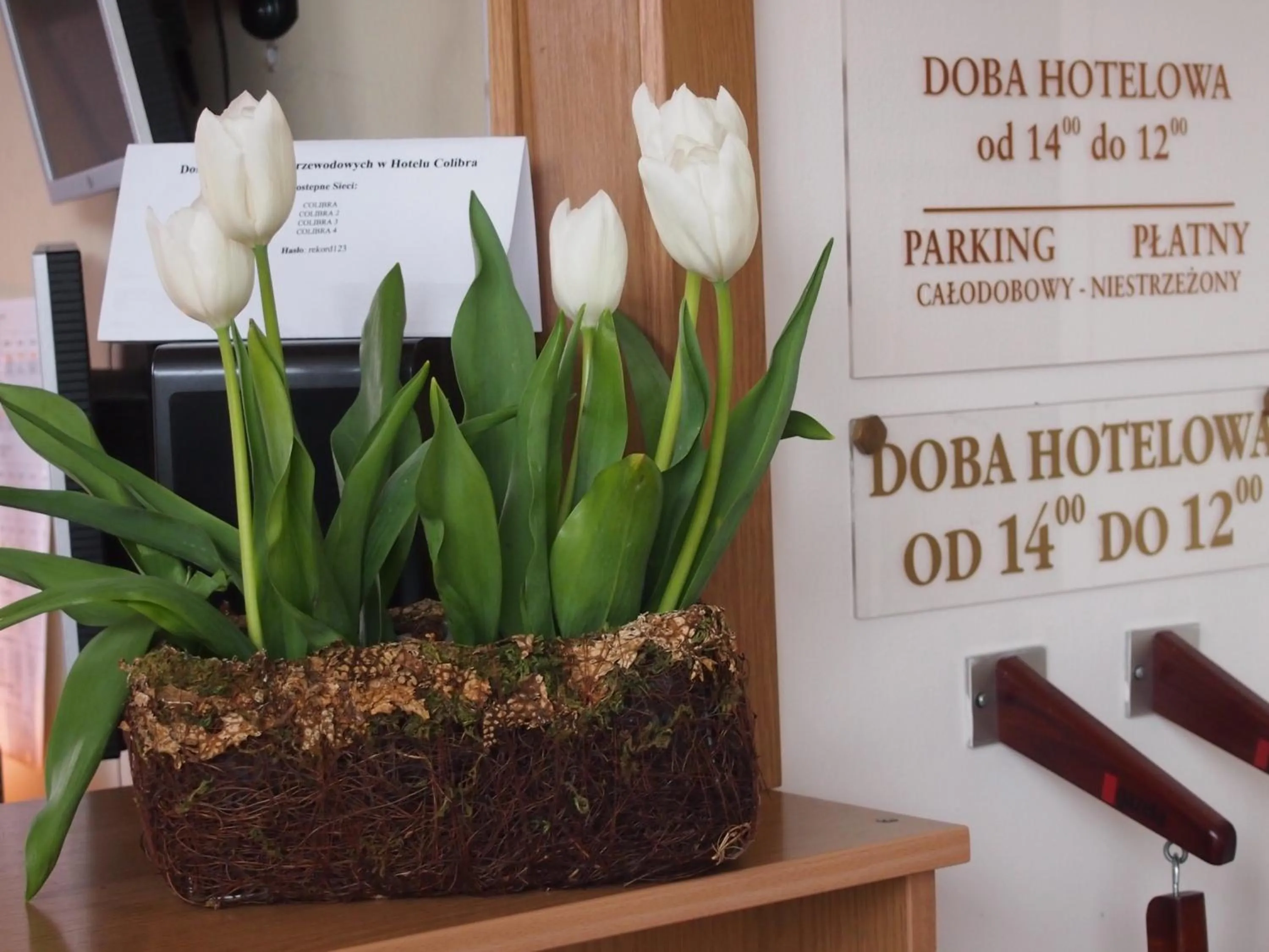 Decorative detail in Hotel Colibra