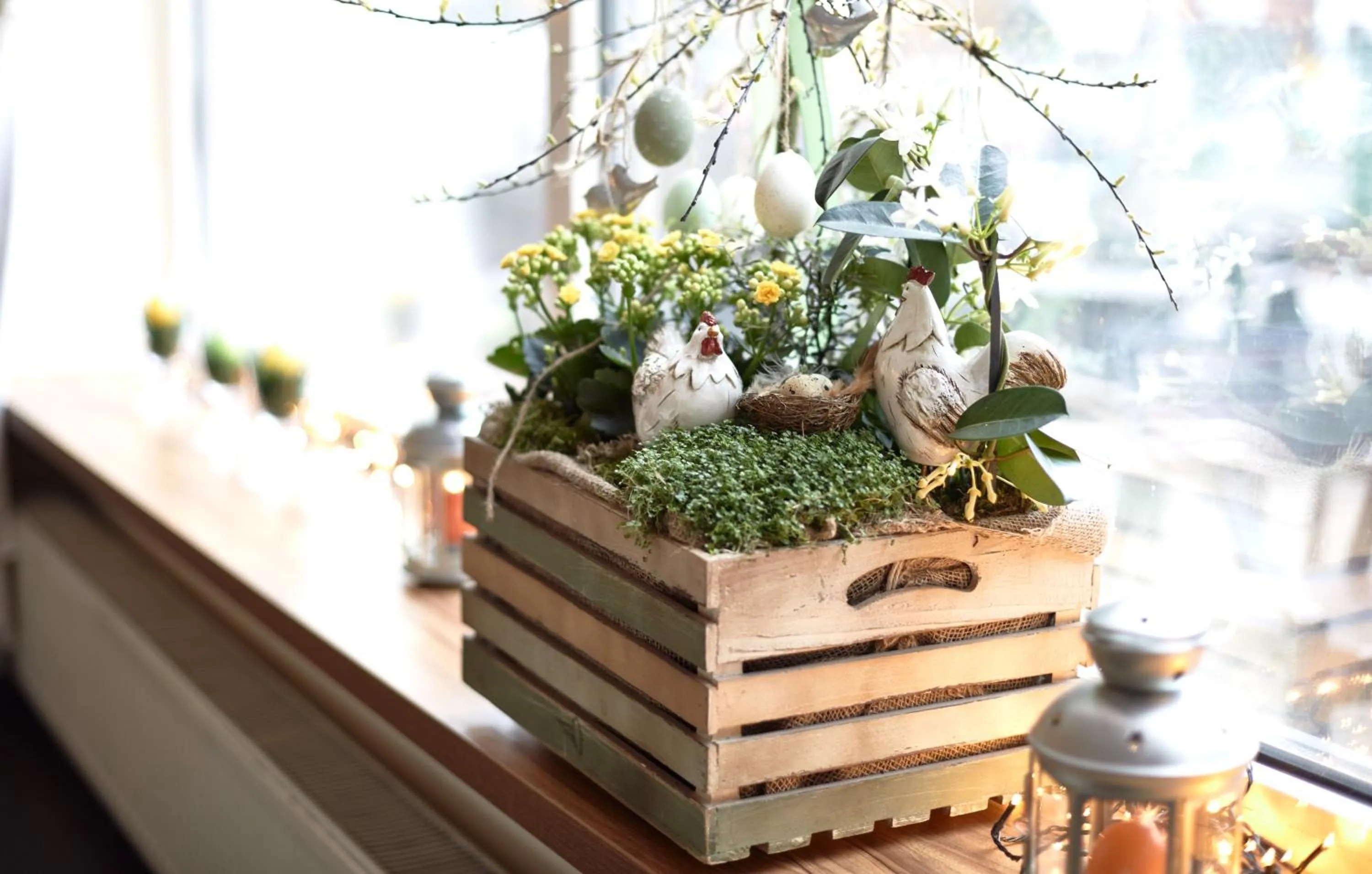 Food and drinks in Hotel Colibra