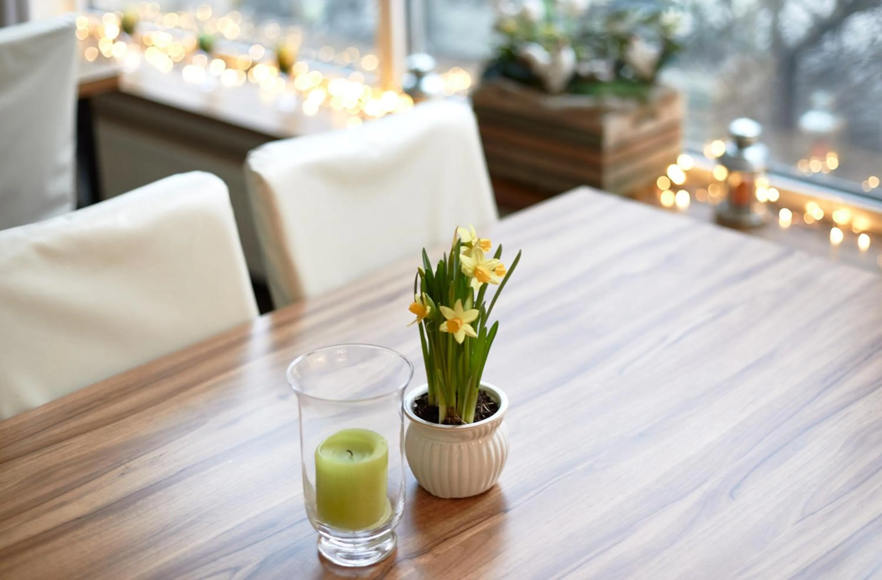 Restaurant/Places to Eat in Hotel Colibra