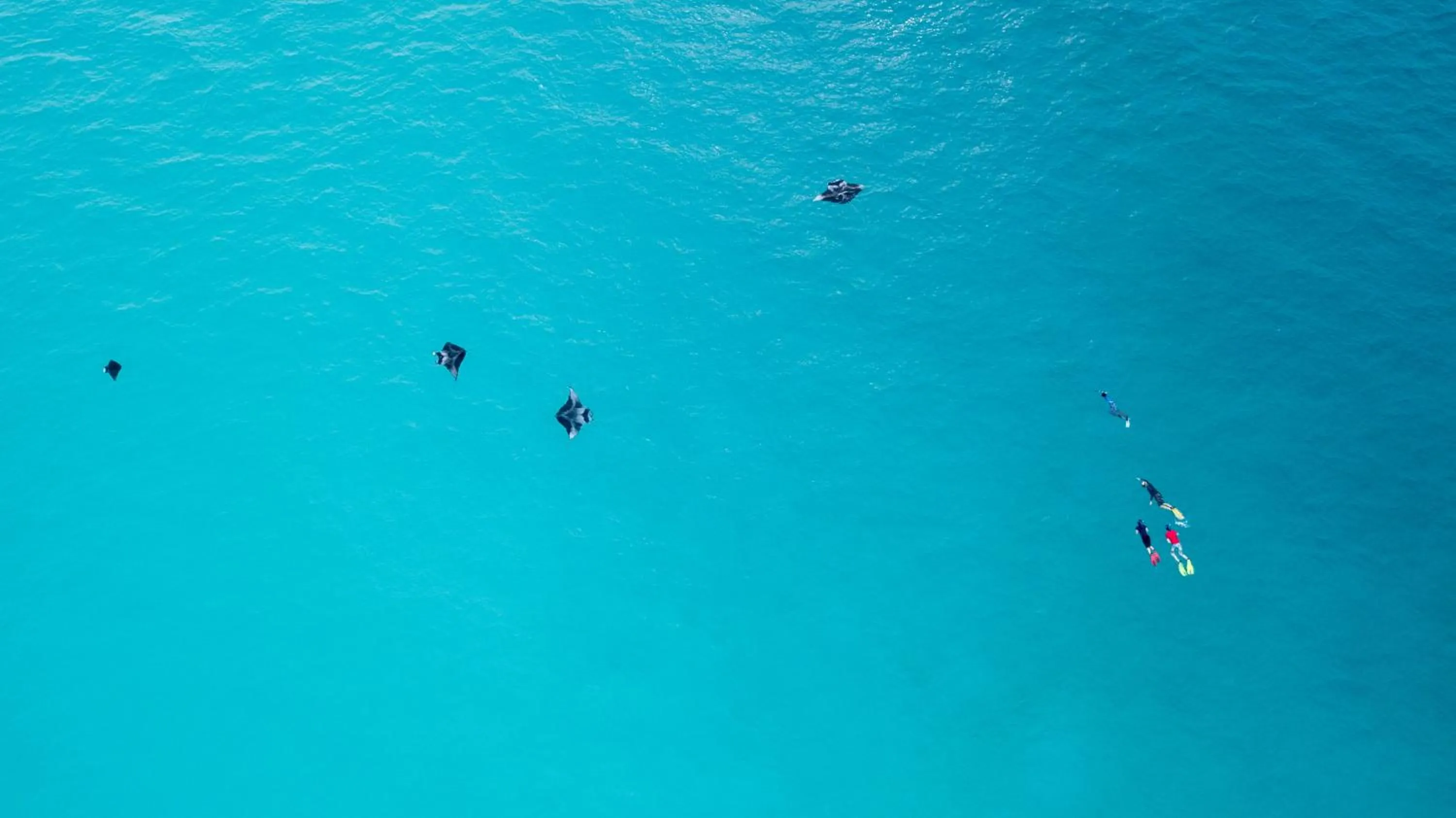 Day in Island Home Inn