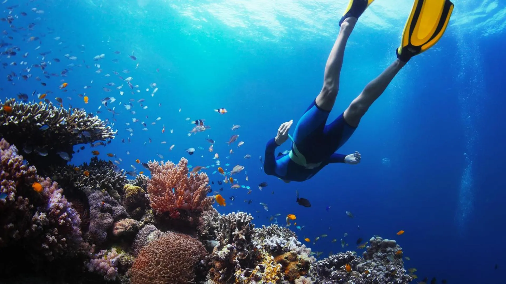 Nearby landmark in Island Home Inn