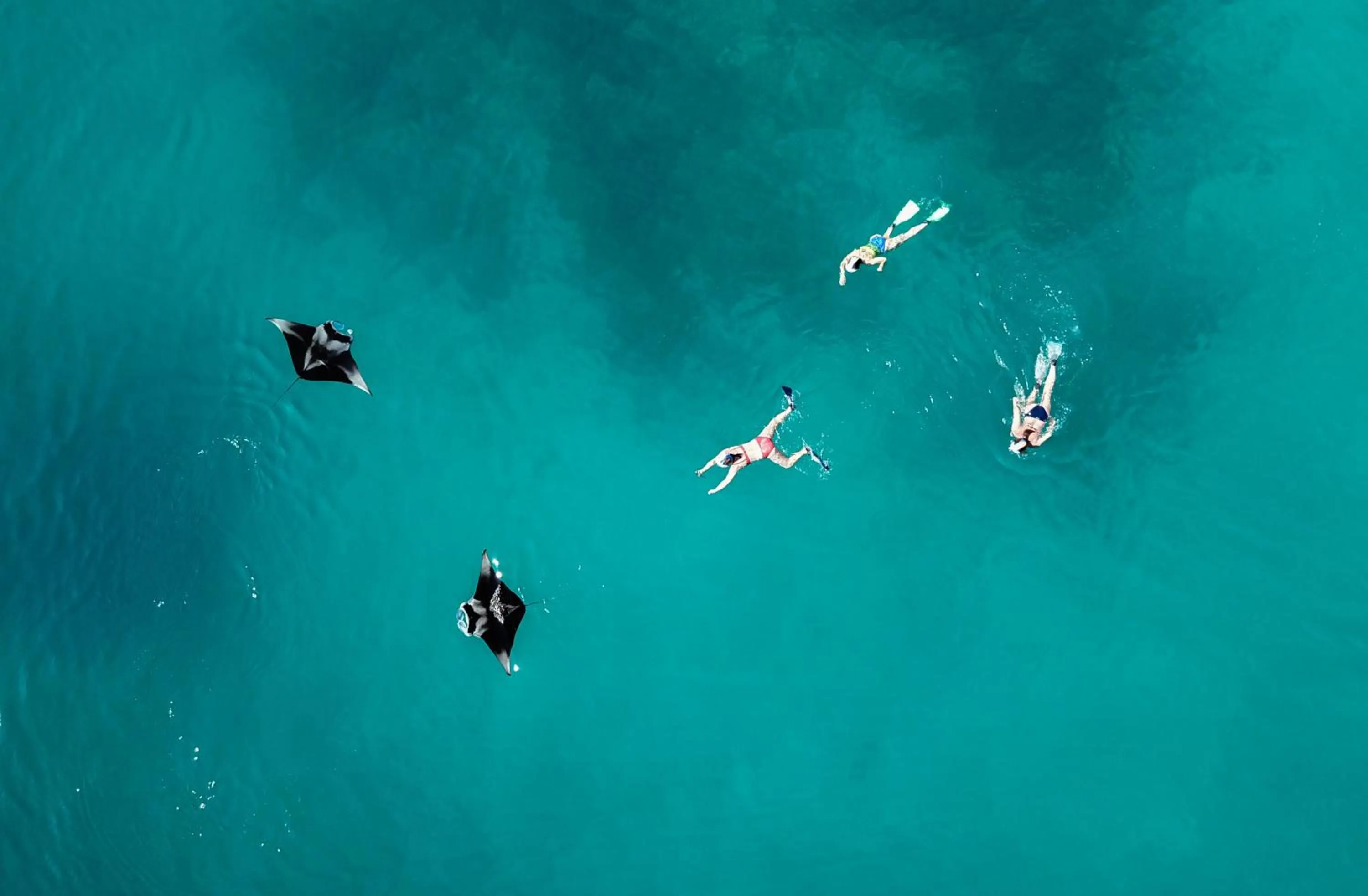 Nearby landmark in Island Home Inn